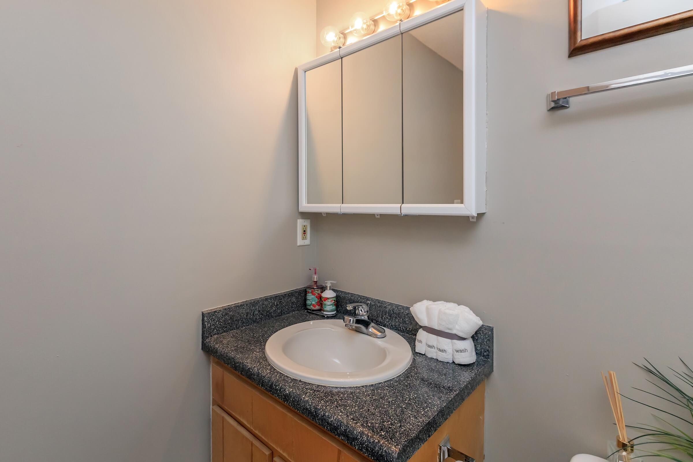 a sink and a mirror