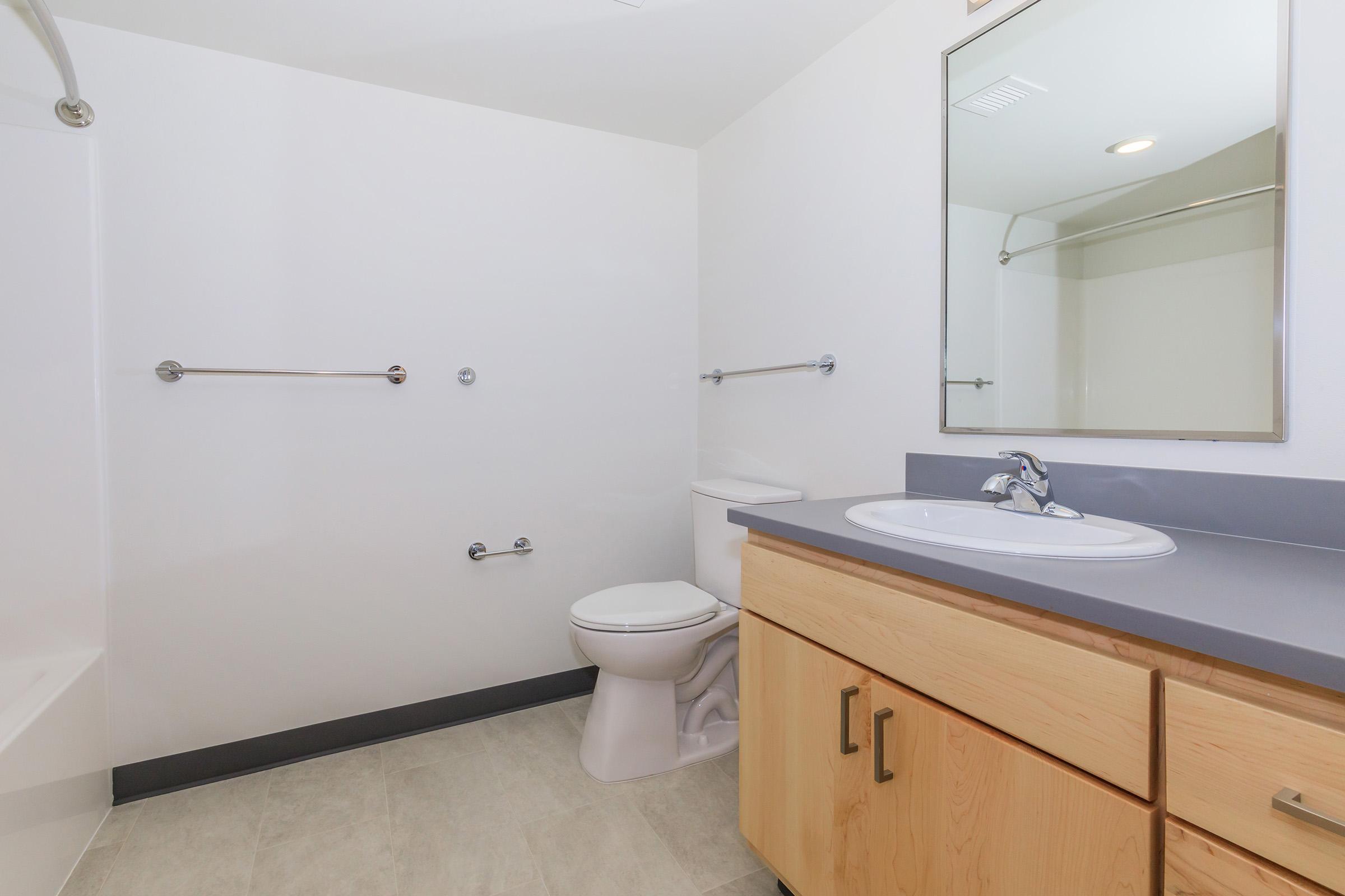A modern bathroom featuring a toilet, sink with a mirror above, and a shower area. The walls are painted white, and there are grab bars installed for accessibility. The cabinetry has a light wood finish, and the floor is tiled in a light gray color.