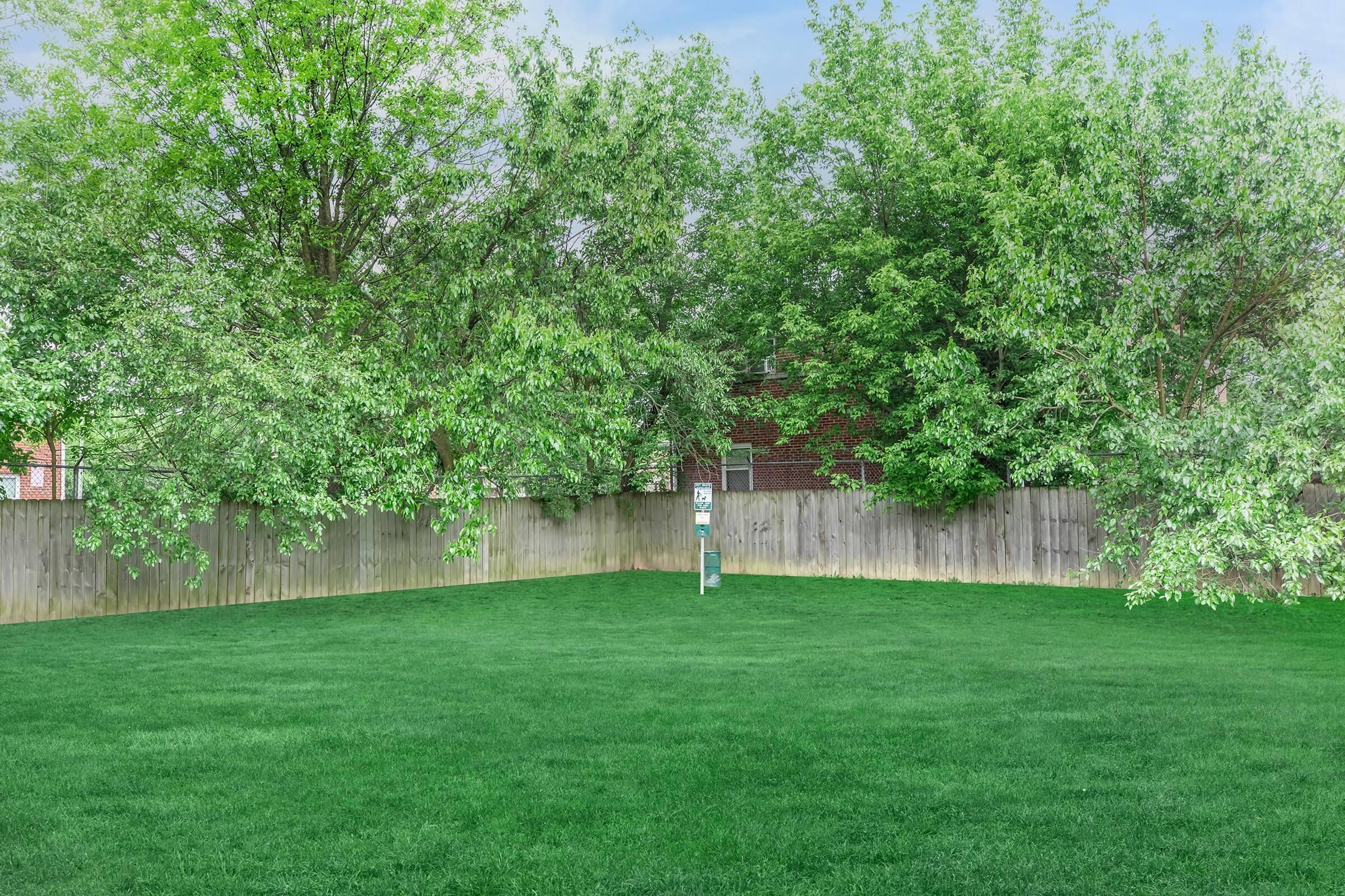 a tree in a grassy yard