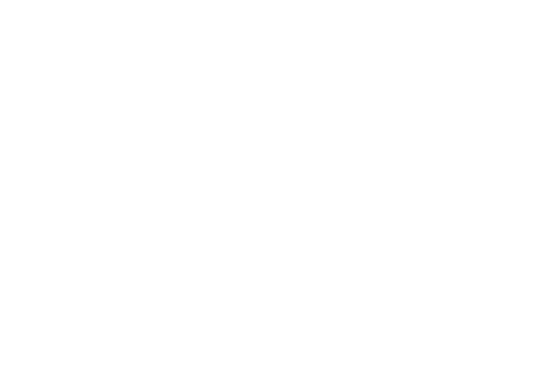 The Pines Logo