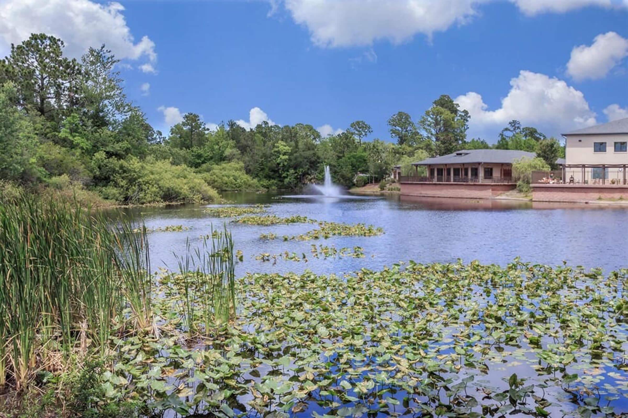 A serene landscape featuring a tranquil pond surrounded by lush greenery, with a fountain in the center. Tall grasses and lily pads adorn the water's surface, while a modern building is visible along the shoreline under a bright blue sky with fluffy white clouds.