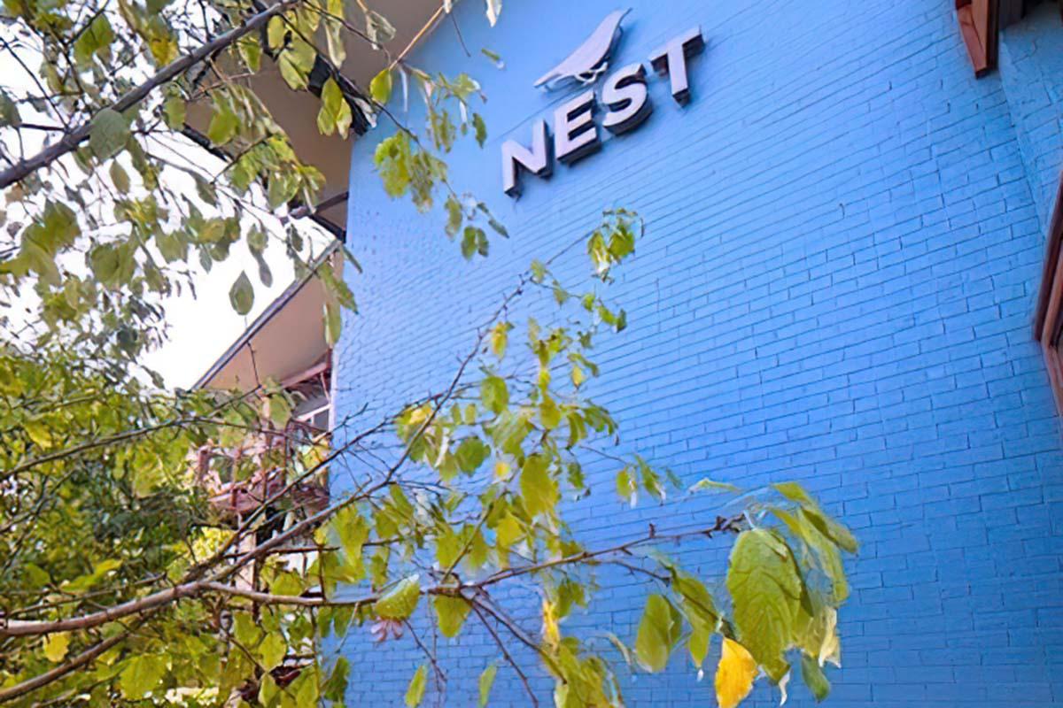 A vibrant blue wall with the word "NEST" prominently displayed in white letters