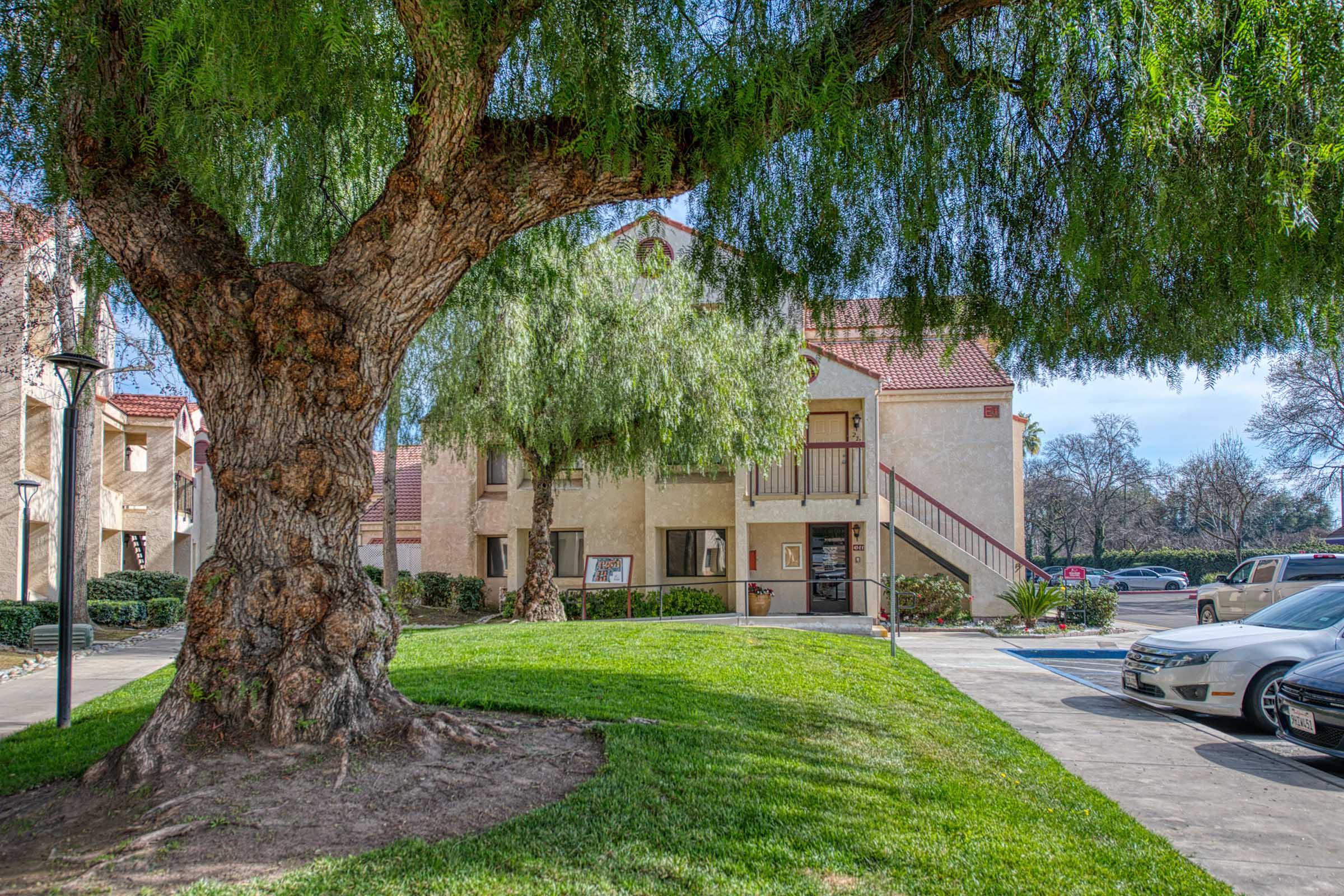 A large tree with a thick trunk is situated in front of a two-story apartment building. The building features a staircase leading to an entrance, and there are parked cars nearby. Lush green grass surrounds the tree, contributing to the pleasant outdoor environment. The scene is well-lit with clear blue skies.