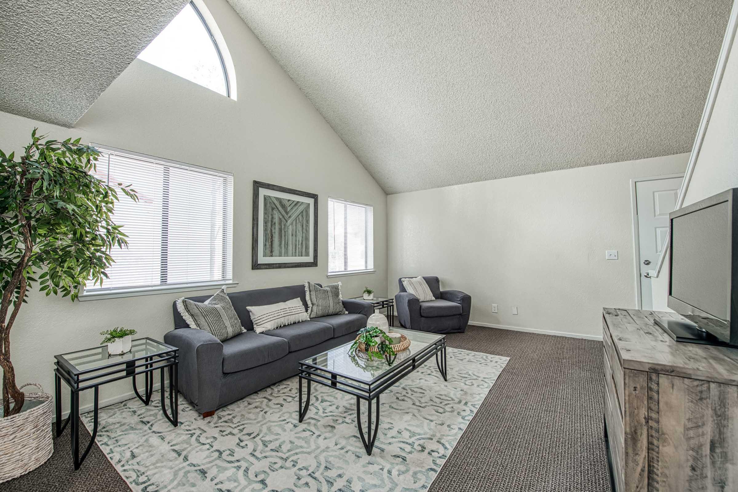 Bright and spacious living room featuring high vaulted ceilings, modern furniture including a dark gray couch and armchair, a decorative area rug, and a coffee table. Natural light streams through the large windows, with a potted tree adding a touch of greenery. The room has a neutral color palette and contemporary decor.