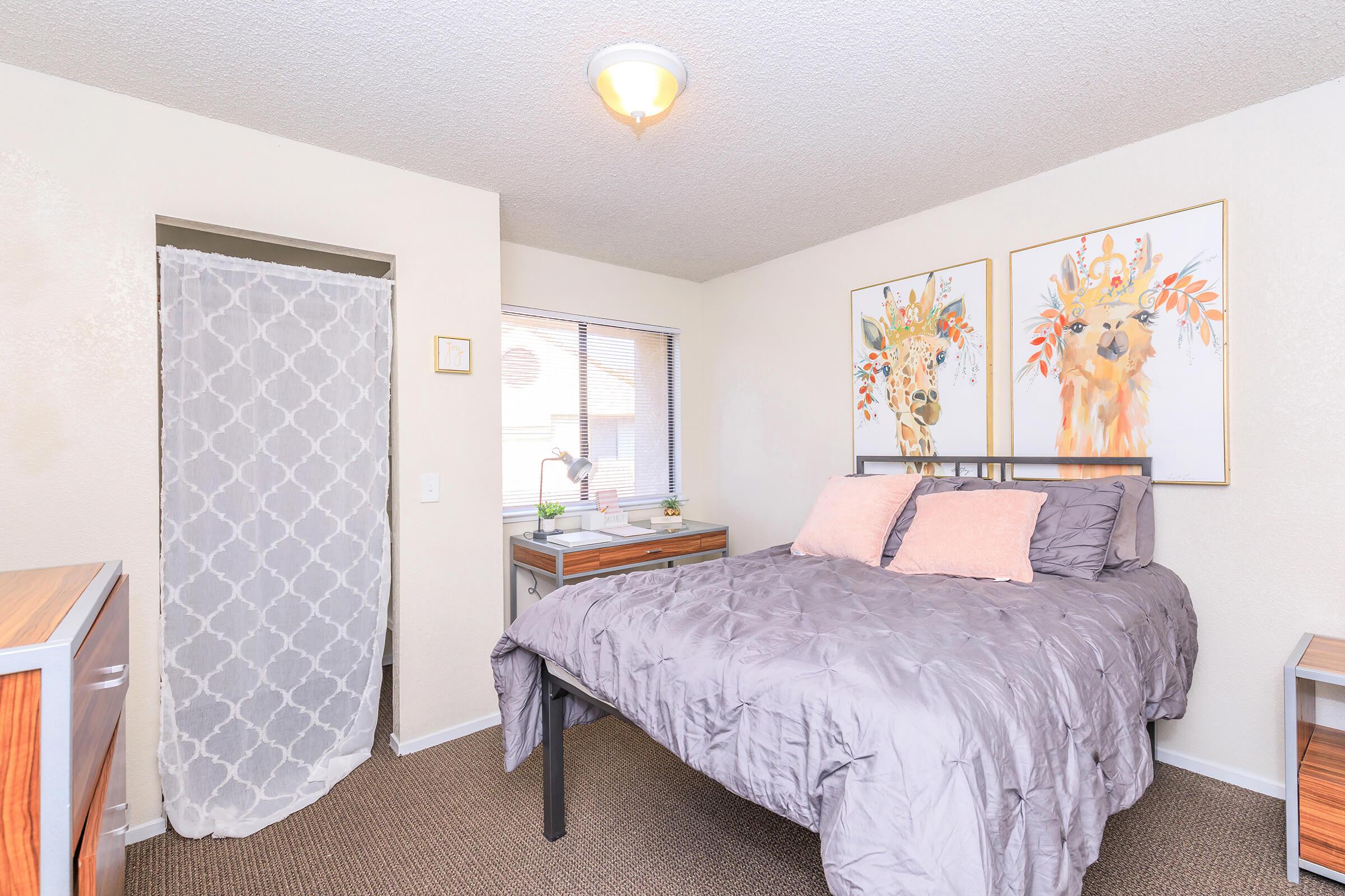 A cozy bedroom featuring a bed with a gray comforter and two pink pillows. There's a decorative wall with two framed animal prints depicting giraffes. A wooden nightstand holds a lamp and a plant, and a curtain partially conceals a closet area. Soft lighting enhances the warm atmosphere of the room.