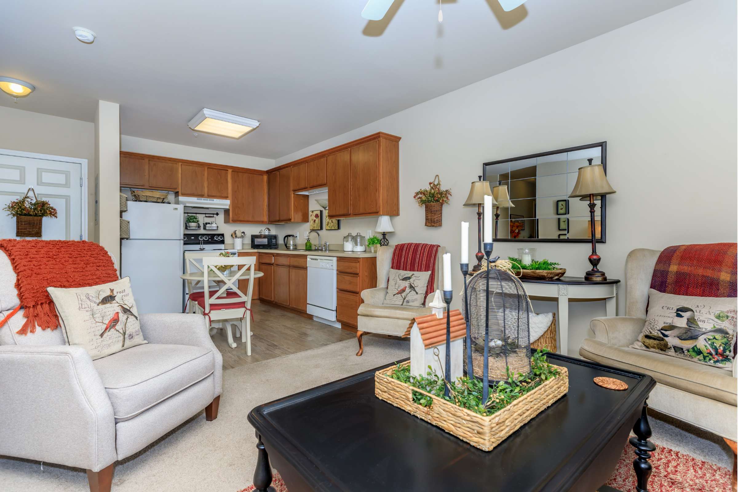 Apartment Features