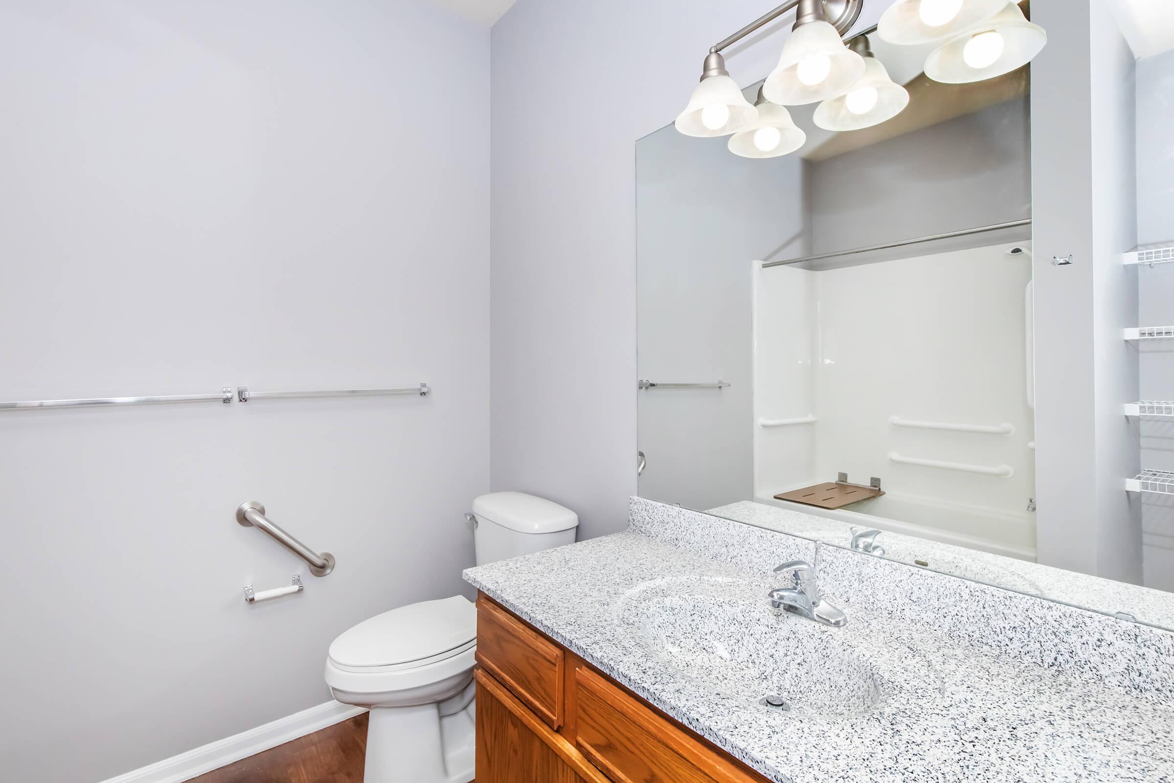 A clean, modern bathroom featuring a white toilet, a double sink with a granite countertop, a large mirror above the sink, and a shower area. The walls are painted light gray, and there are chrome fixtures and a wooden cabinet under the sink. Bright overhead lighting enhances the spacious feel.