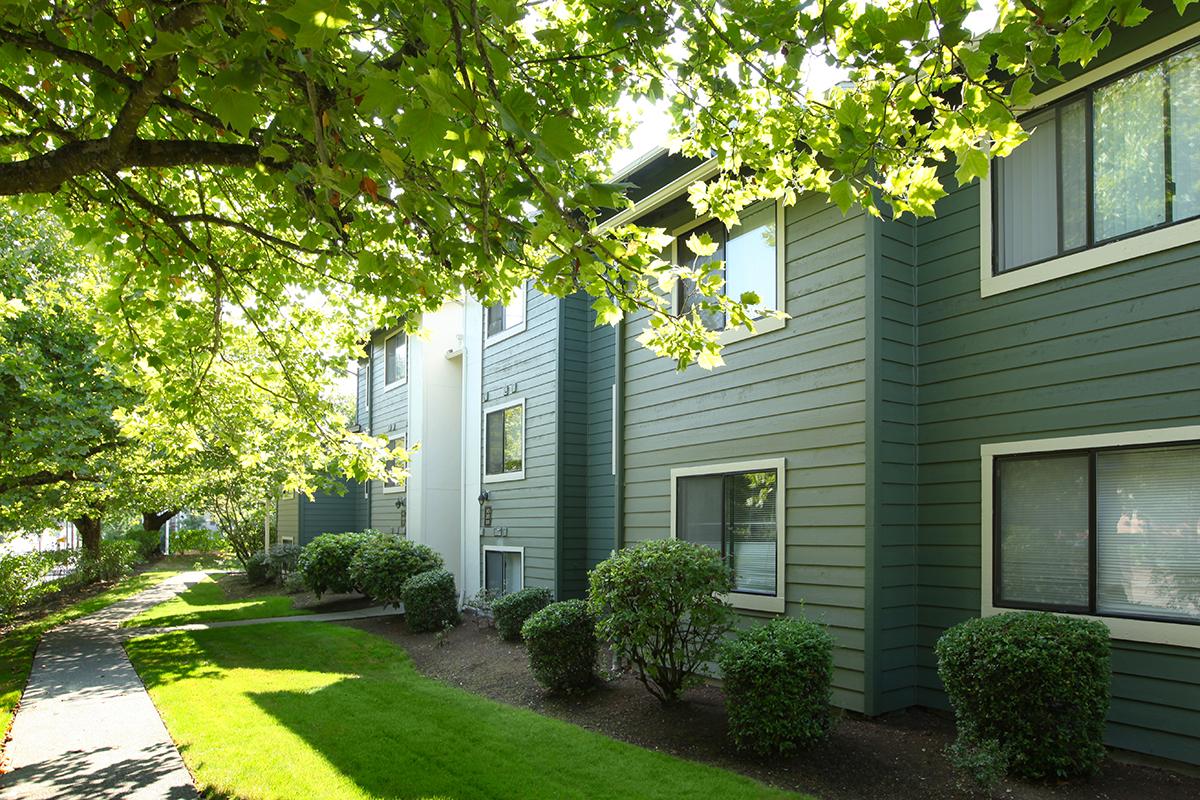 a house with bushes in front of a building