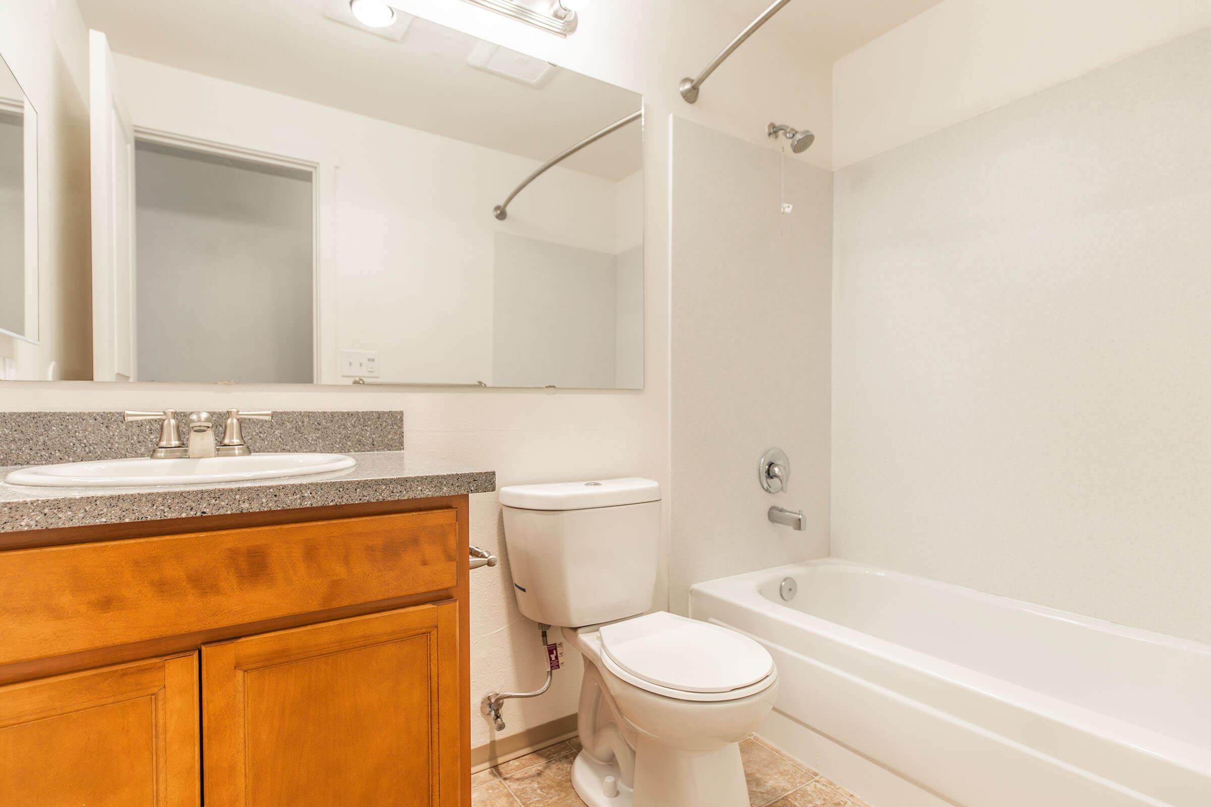 a shower that has a sink and a mirror