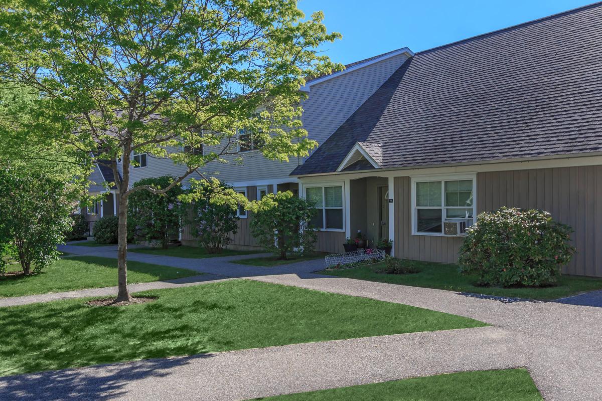 a large lawn in front of a house