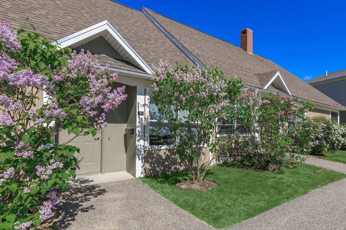 a close up of a flower garden in front of a house