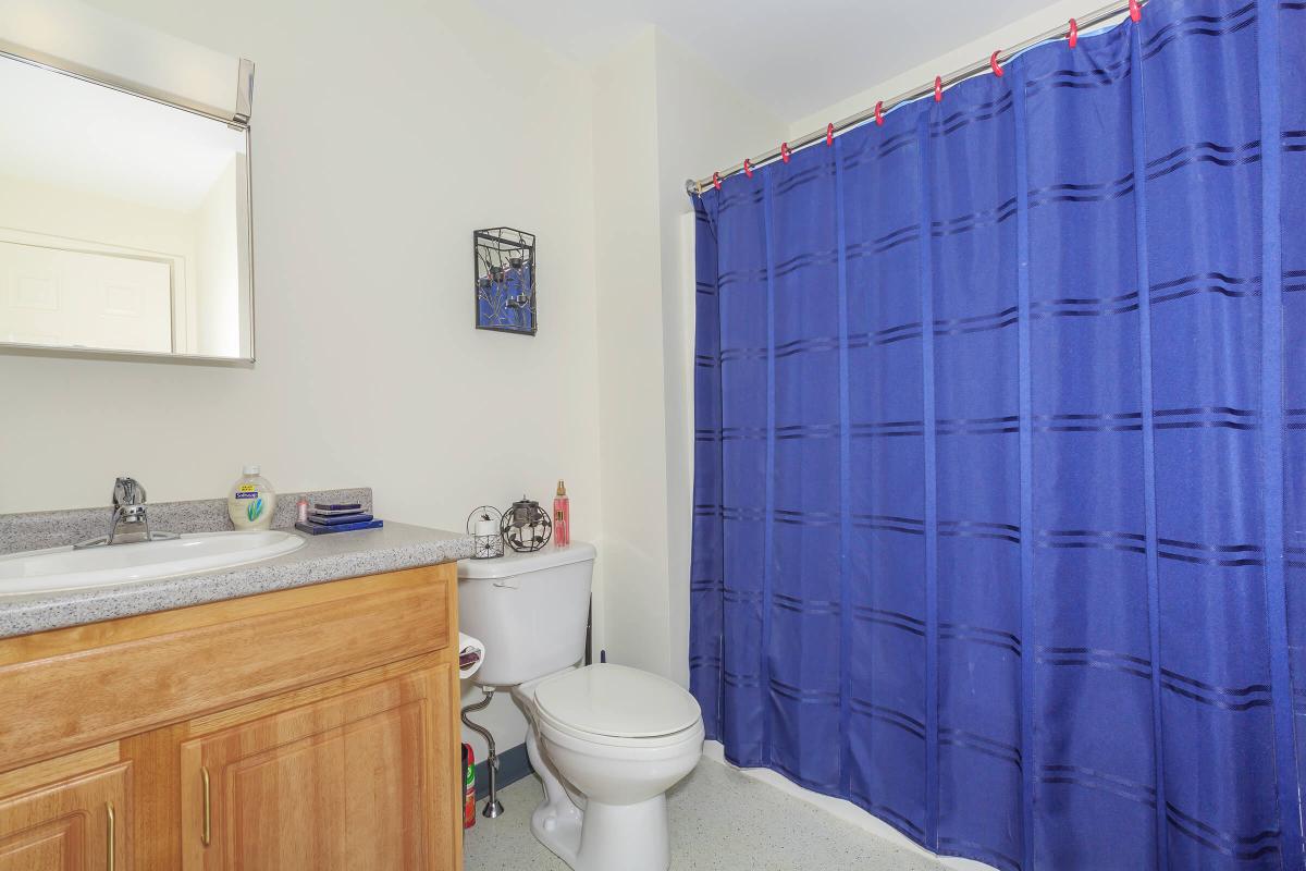 a blue and white shower curtain