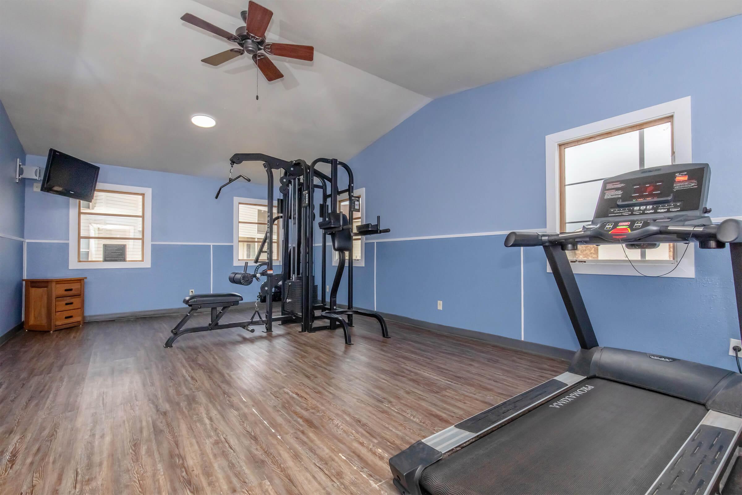 A spacious home gym featuring a treadmill, multi-gym equipment, and a wall-mounted television. The room has light blue walls and wooden flooring, with windows providing natural light.