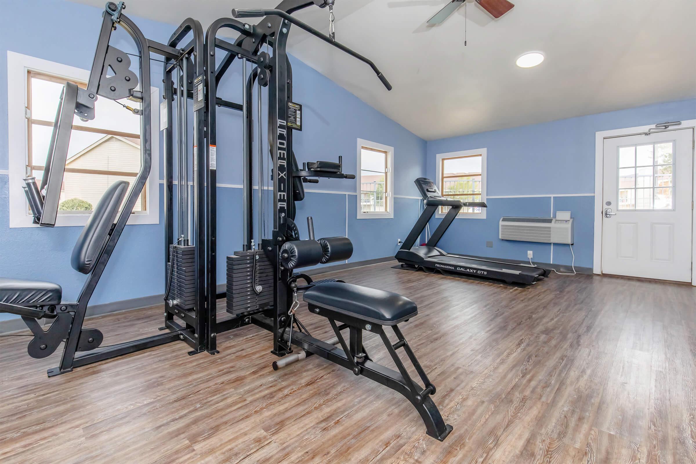 Well-equipped fitness room featuring a multi-gym machine, a treadmill, and large windows providing natural light. The walls are painted a light blue, and the floor is wood-like laminate, creating a bright and inviting workout environment. A door leads outside, and an air conditioning unit is visible.