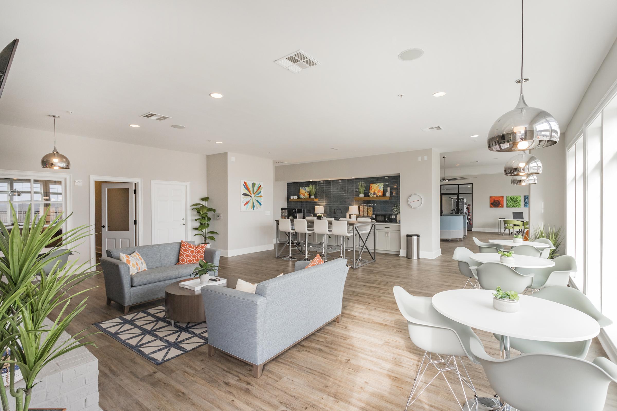 A modern, open-concept lounge area featuring a cozy gray sofa with colorful throw pillows, a patterned area rug, and a round dining table with sleek chairs. The space has large windows allowing natural light, potted plants for decoration, and a stylish kitchen bar in the background with contemporary stools.