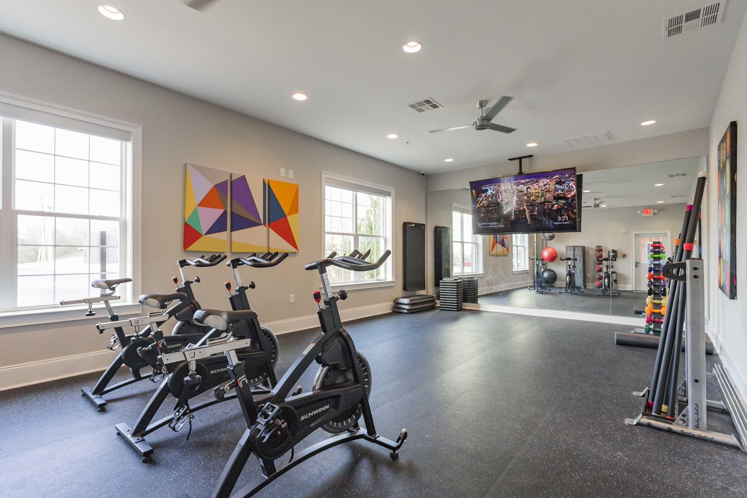 A modern home gym featuring two stationary bikes, a large TV mounted on the wall showing a fitness program, colorful artwork, and various workout equipment organized in a bright, spacious room with natural light coming from large windows.