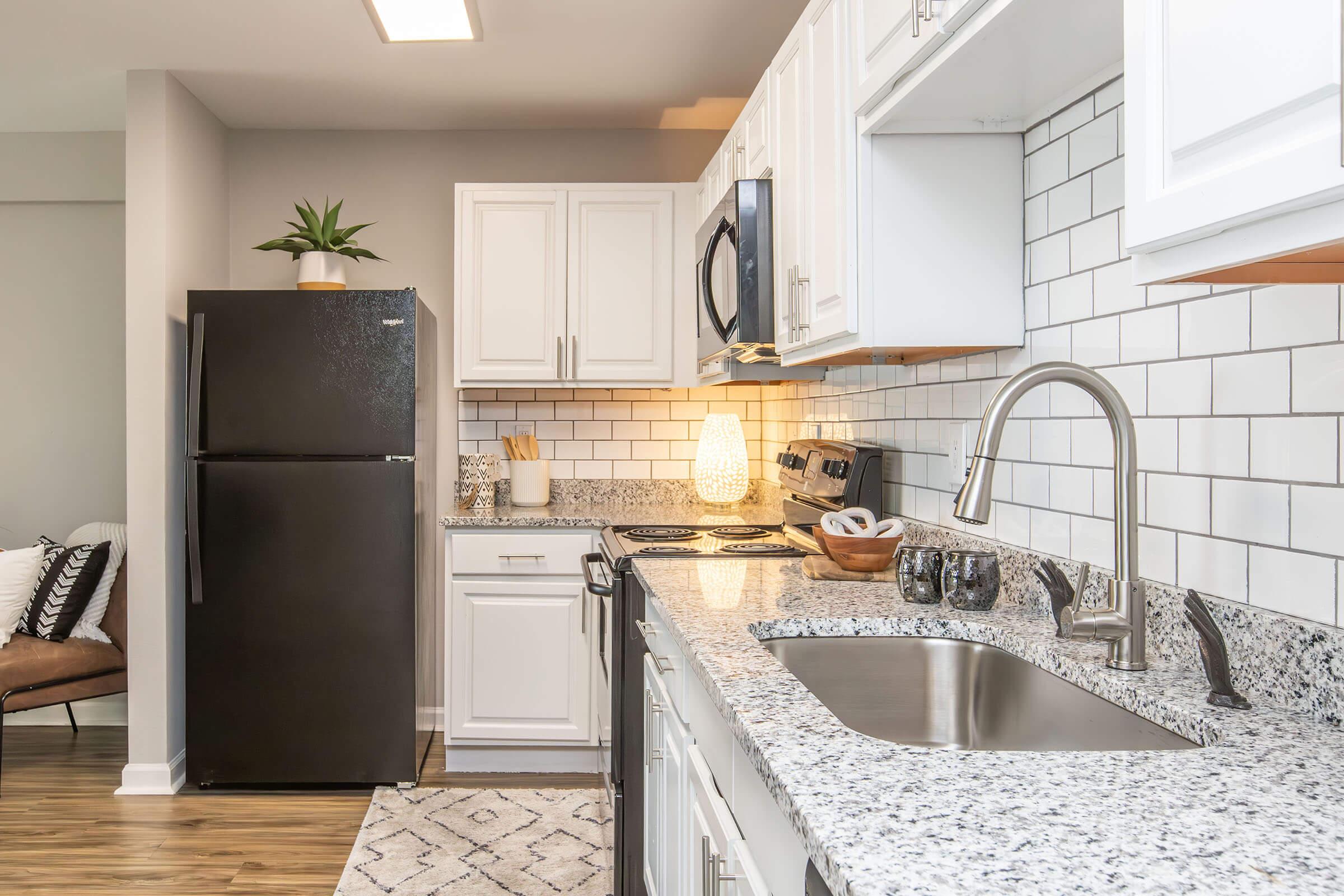 Modern kitchen with white cabinets, granite countertops, and stainless steel appliances. Features include a black refrigerator, a sink with a faucet, an oven, and a microwave. Decorative elements include a plant and bowls of utensils, complemented by a light fixture and a patterned rug.