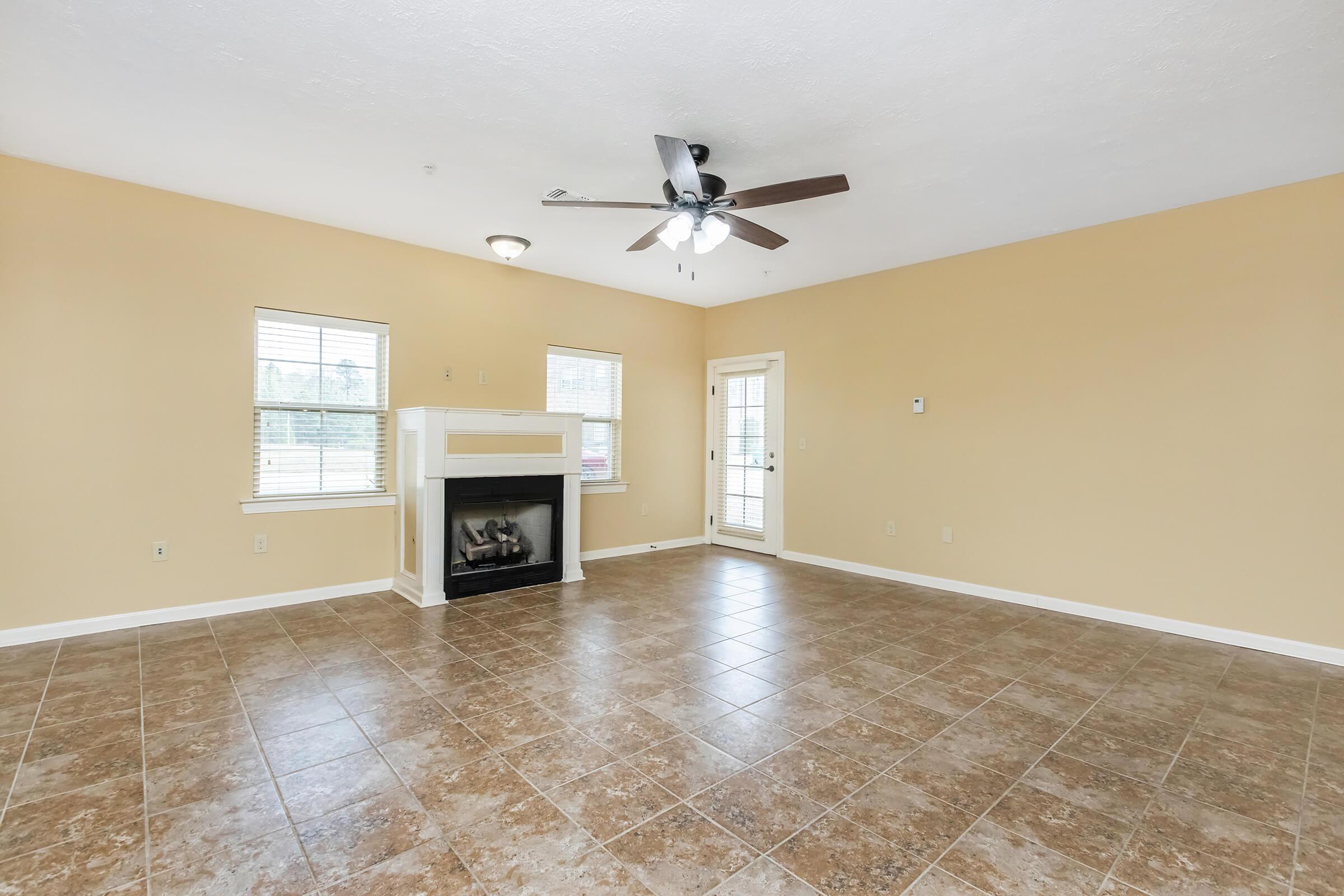 Fireplace and back door with two window