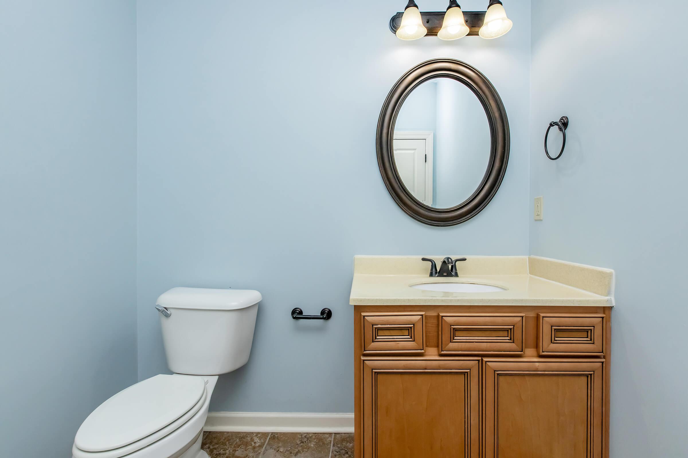 Single sink with cabinetry and toilet