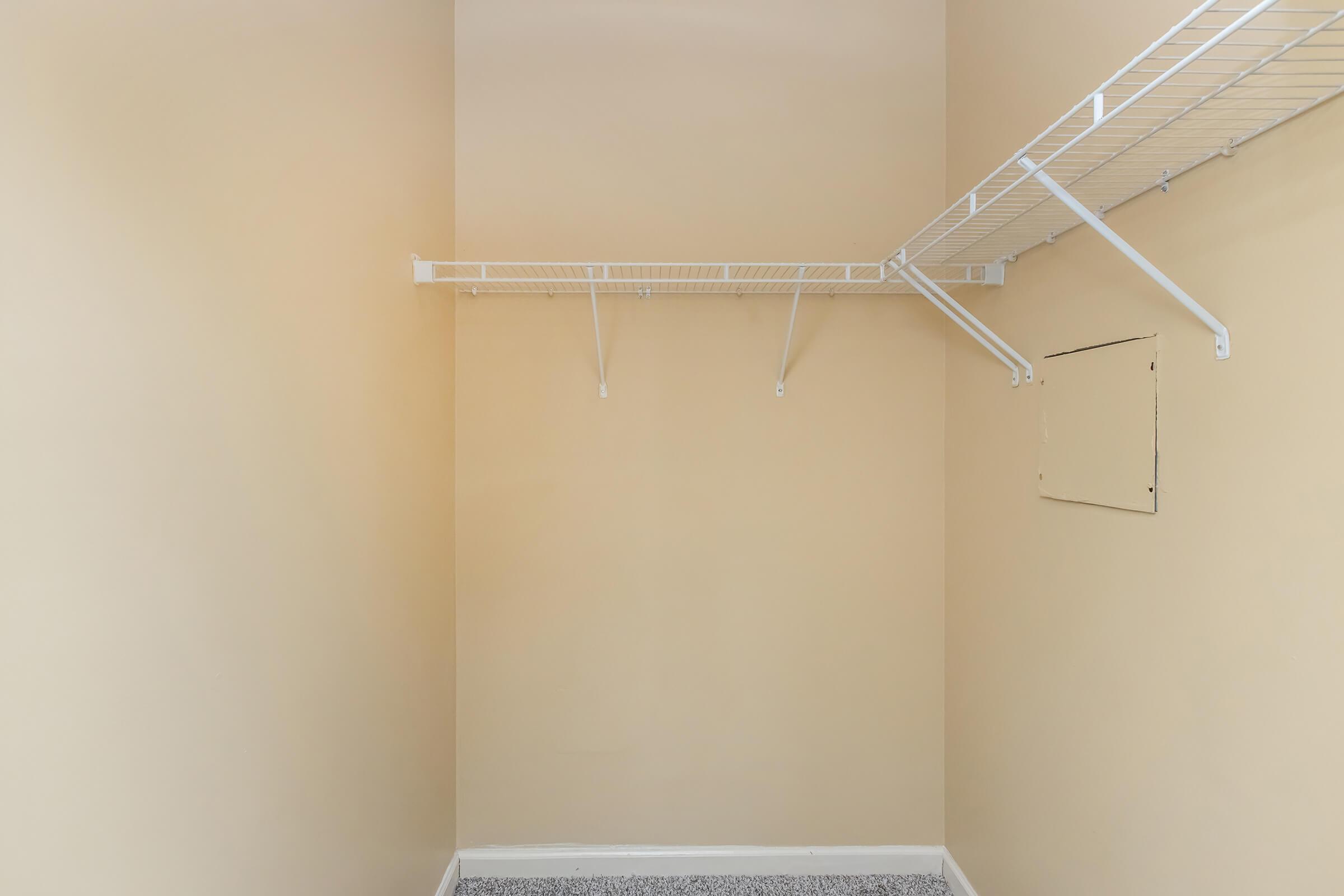 Walk-in closet with shelving