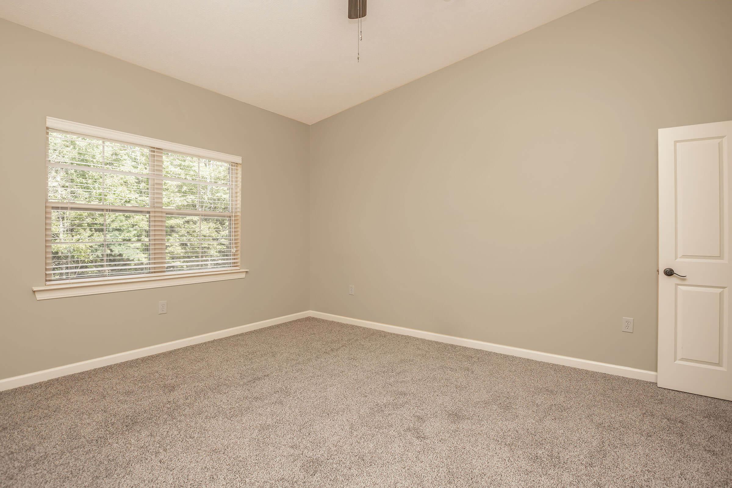A spacious, empty room with light gray walls and a plush carpet. A window with blinds allows natural light to enter, illuminating the space. There is a white door on the right side of the room, adding to the clean, minimalist aesthetic. The overall atmosphere is bright and serene, ideal for personalization.