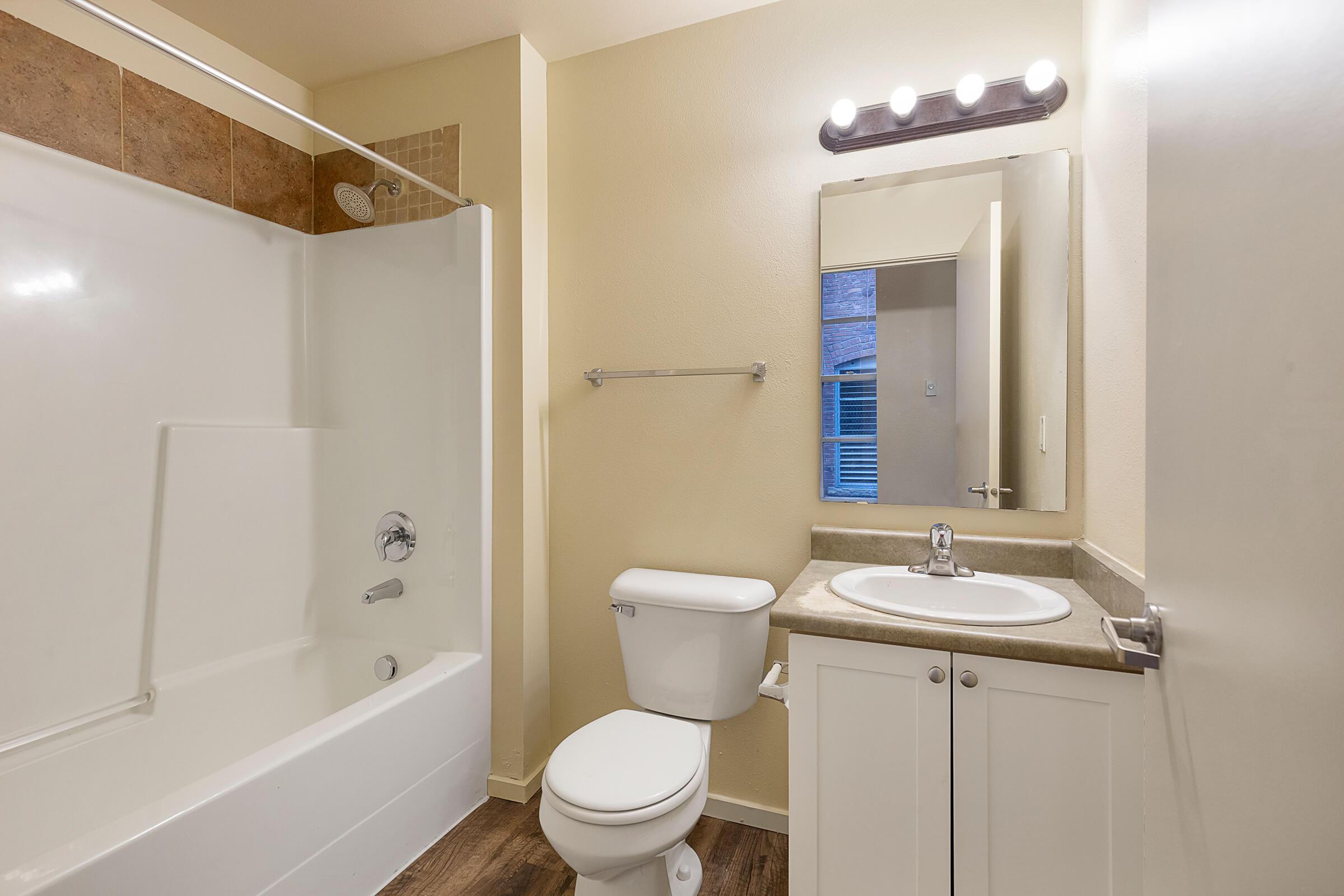 a shower that has a sink and a mirror