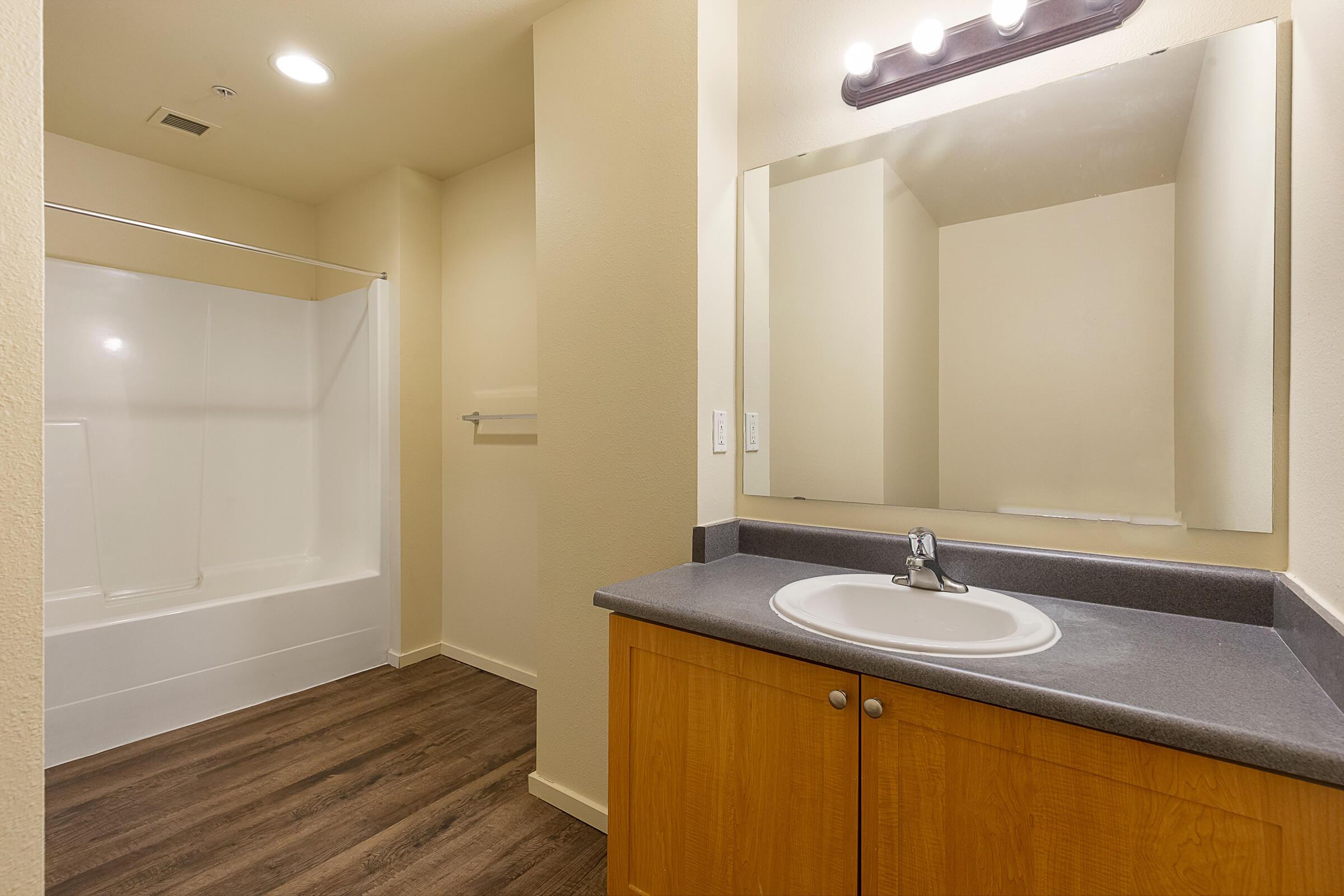 a double sink and large mirror