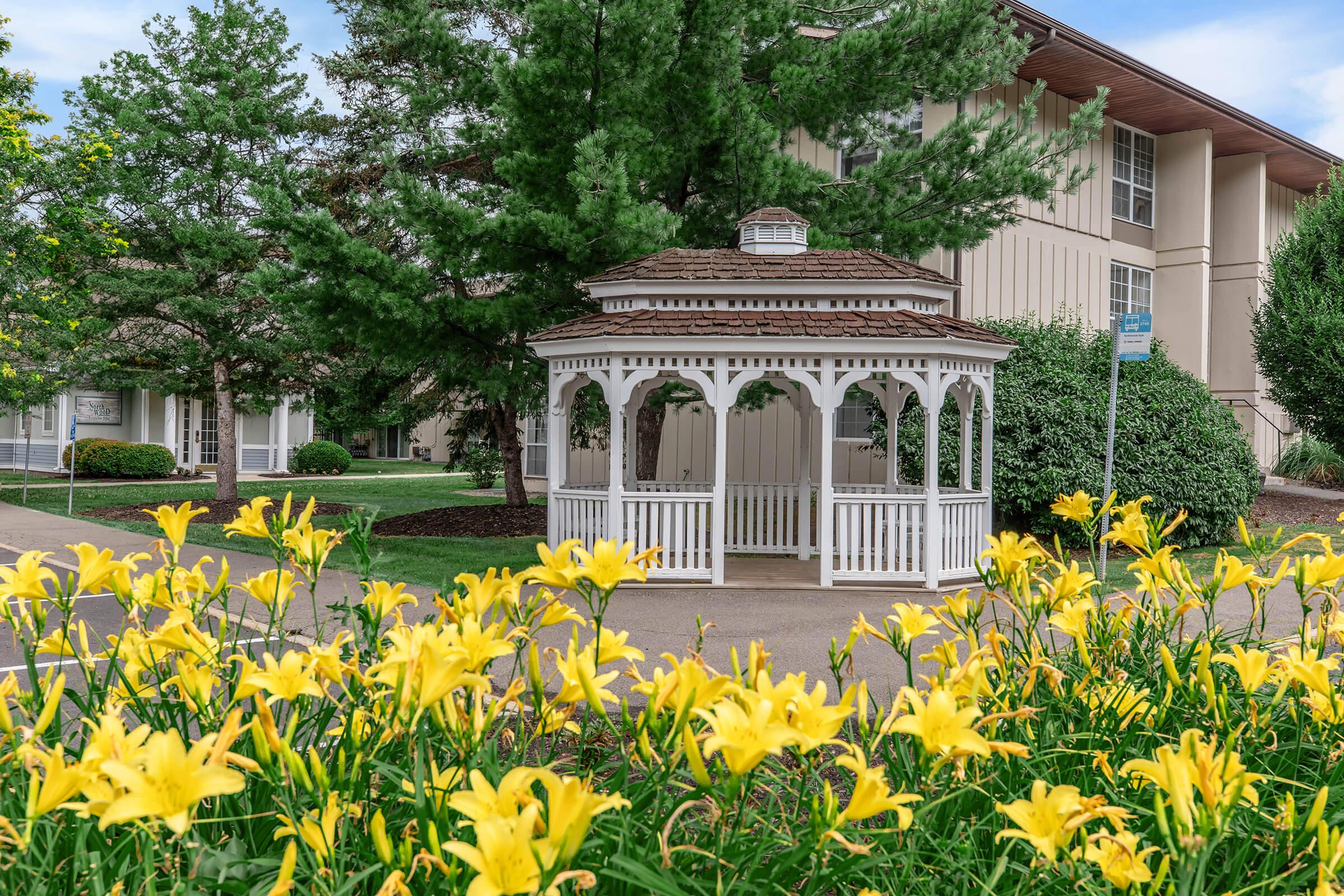 a close up of a flower garden in front of a building