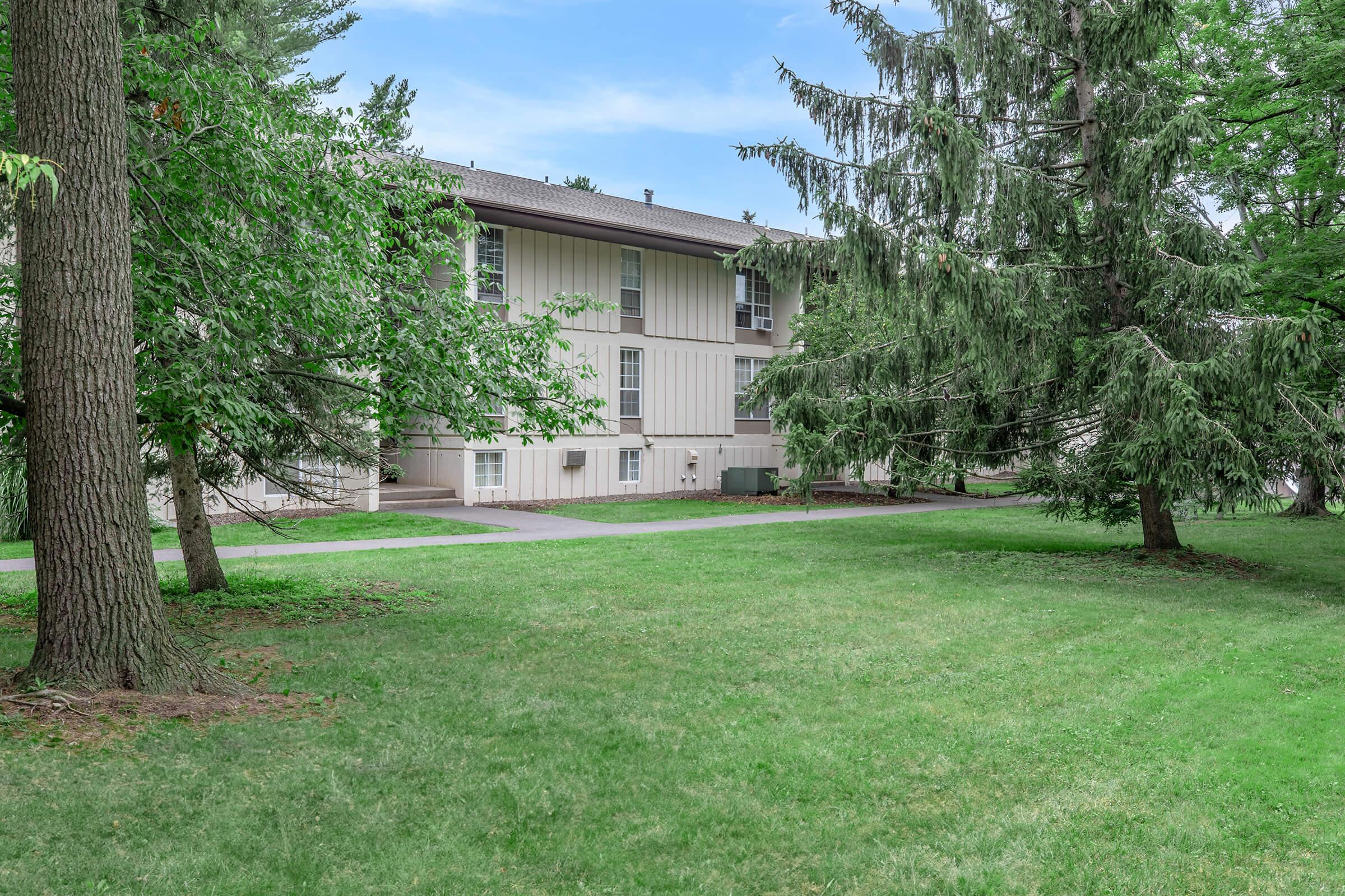 a large lawn in front of a tree