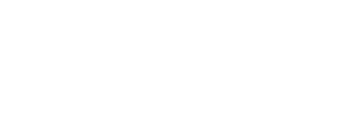 Palmetto at Lakeside ebrochure logo