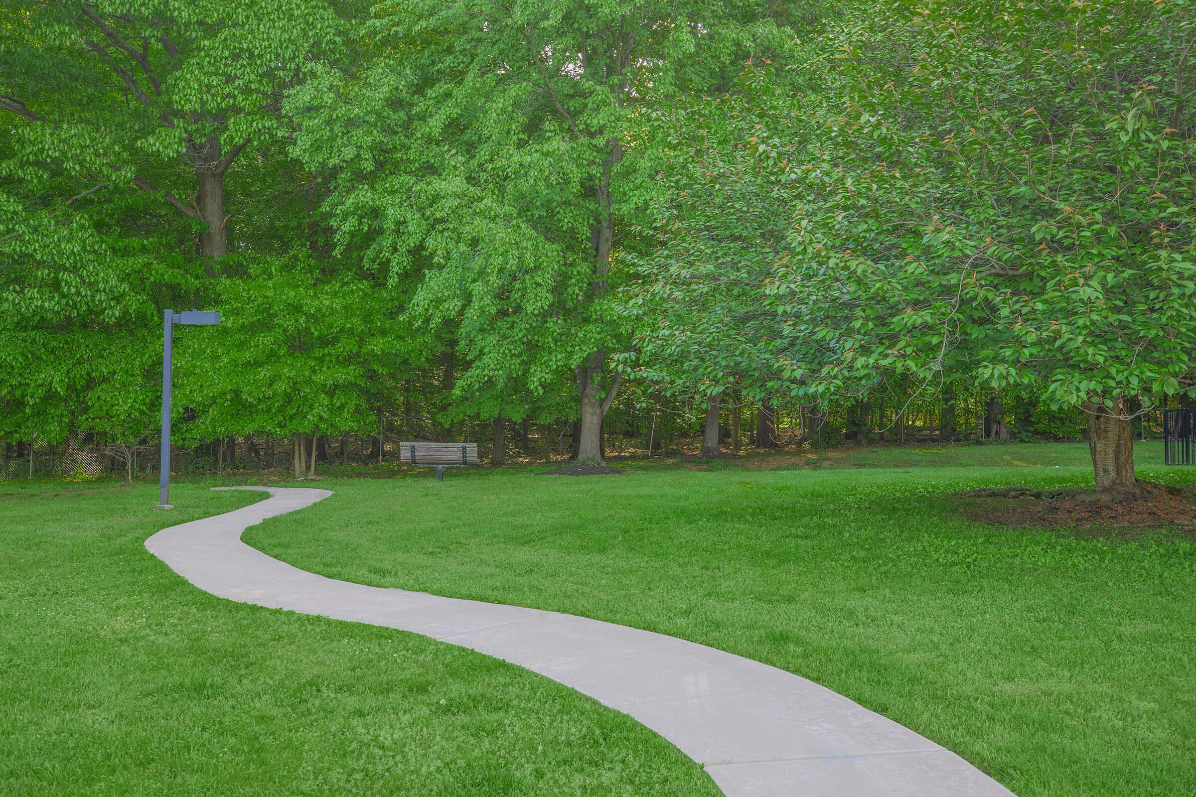 a close up of a lush green field