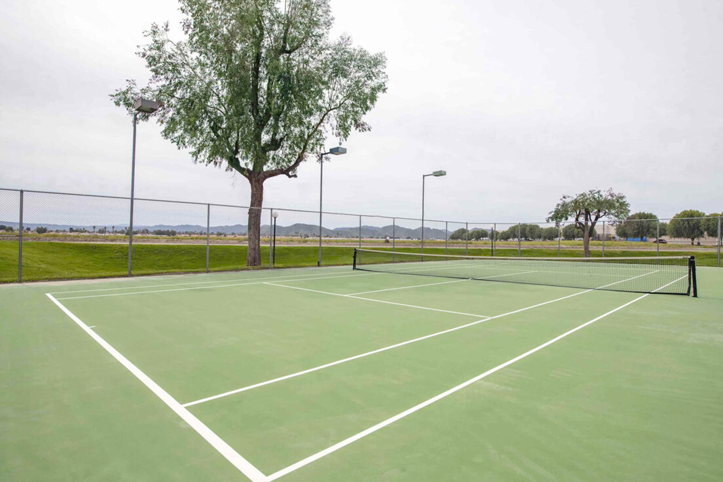 tennis or pickleball court