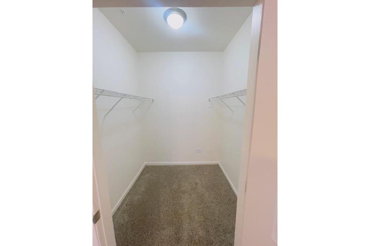 Empty walk-in closet featuring white walls, a light fixture on the ceiling, and two wire shelves on opposite sides. The floor is covered in beige carpet.