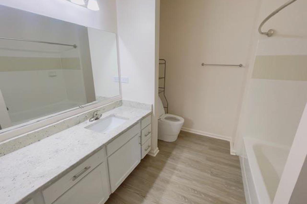 A modern bathroom featuring a spacious vanity with a sink and mirror, a toilet, and a separate shower-tub combo. The walls are painted in neutral colors, and the flooring is a light wood laminate, creating a bright and clean aesthetic.