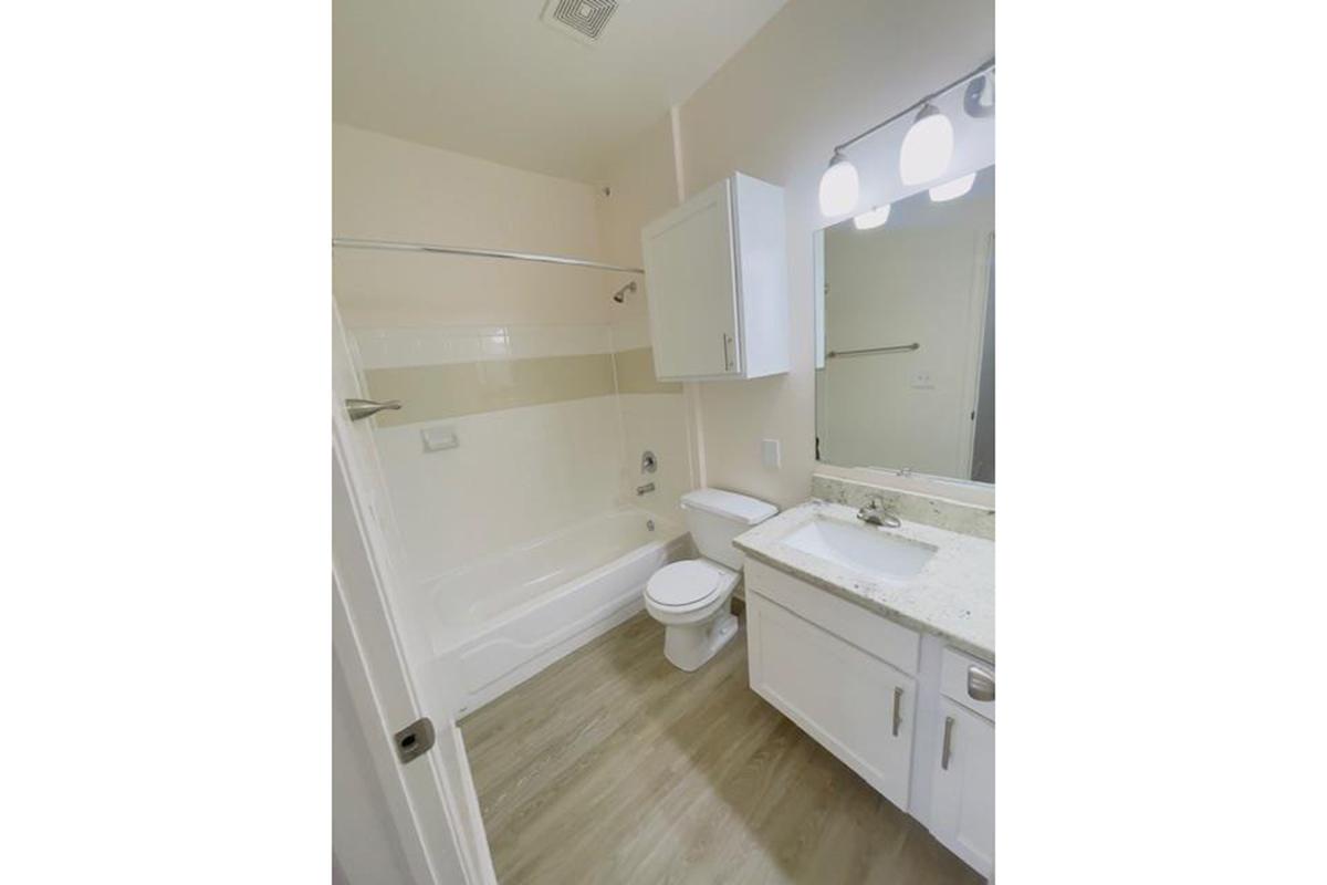 A clean, modern bathroom featuring a bathtub with a shower, white toilet, and a vanity with a sink. The walls are painted in a light color, and there's a mirror above the sink. The flooring is a light wood-like laminate. Bright lighting fixtures are mounted above the mirror.