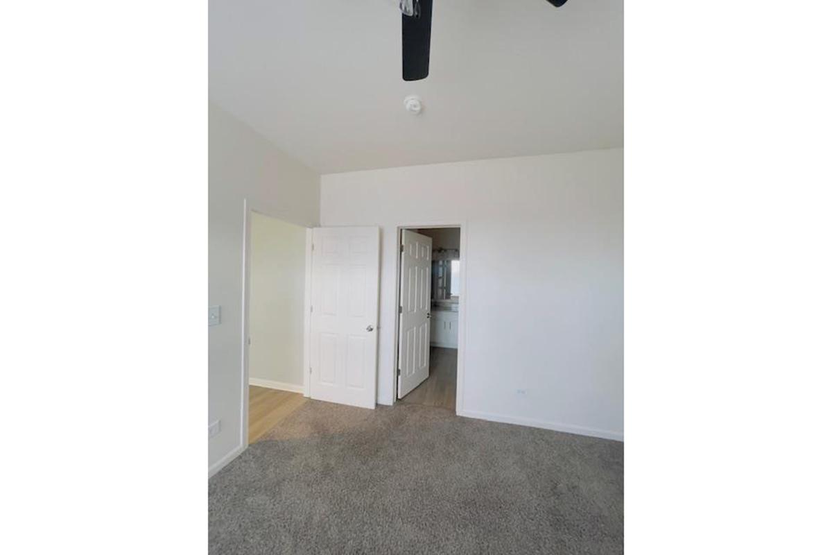 A spacious, empty bedroom featuring light-colored walls and carpeted flooring. A ceiling fan is visible, and there are two doorways; one leads to a bathroom or closet area. Natural light fills the room, creating a bright and airy atmosphere.