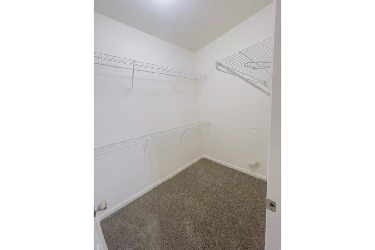 A spacious, empty walk-in closet featuring bare white walls and soft carpet. There are wire shelving units installed on two sides, providing ample storage space for clothes and accessories. The closet is well-lit and organized, presenting a clean and minimalistic appearance.