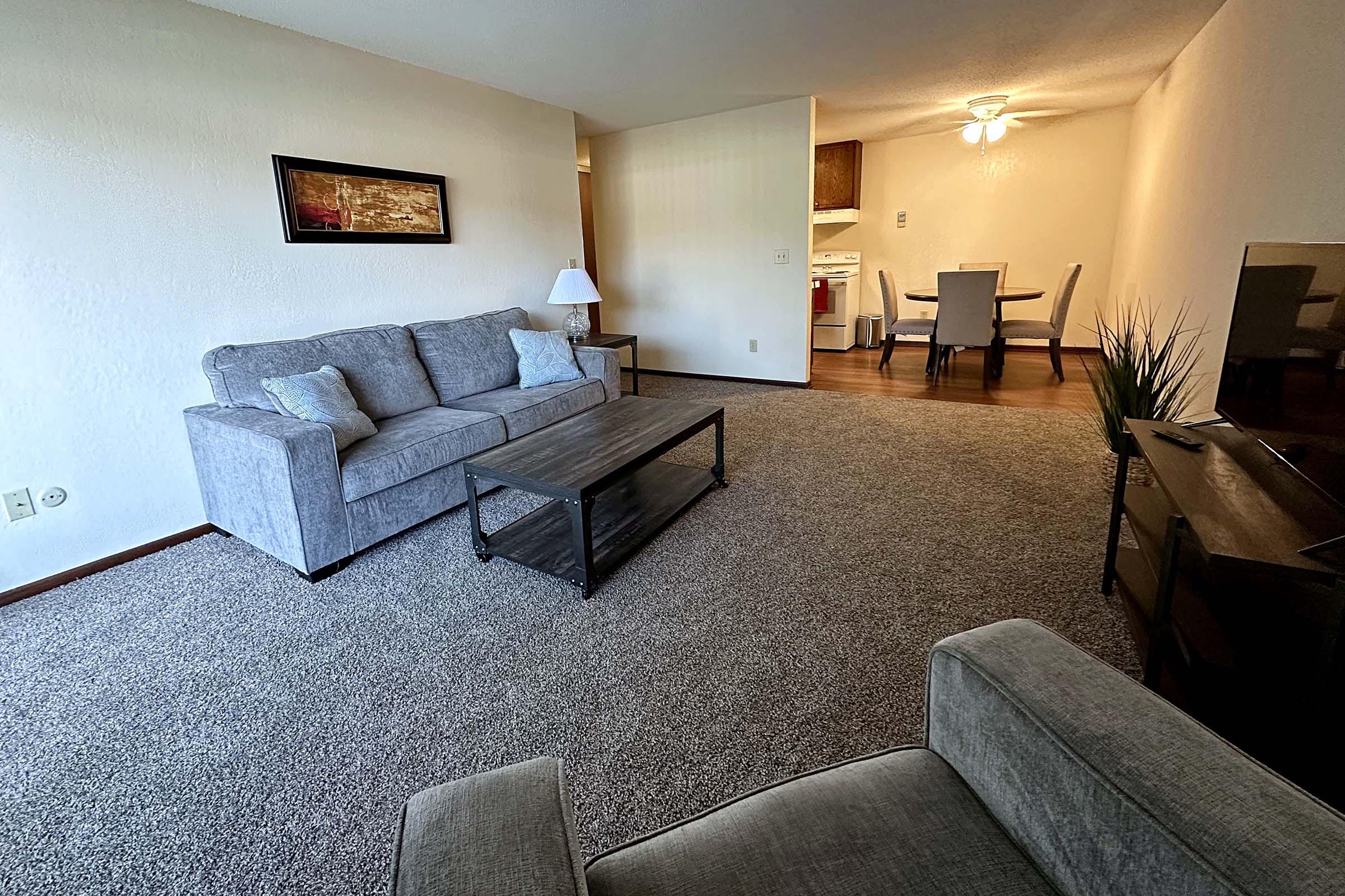 a living room filled with furniture and a rug