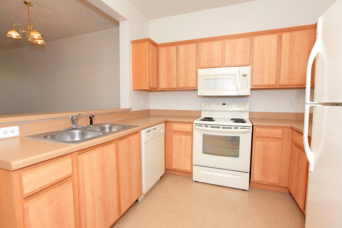 a kitchen with a stove and a refrigerator