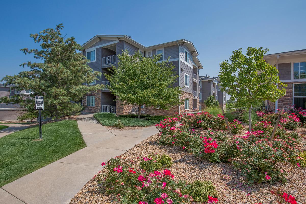 a close up of a flower garden in front of a house