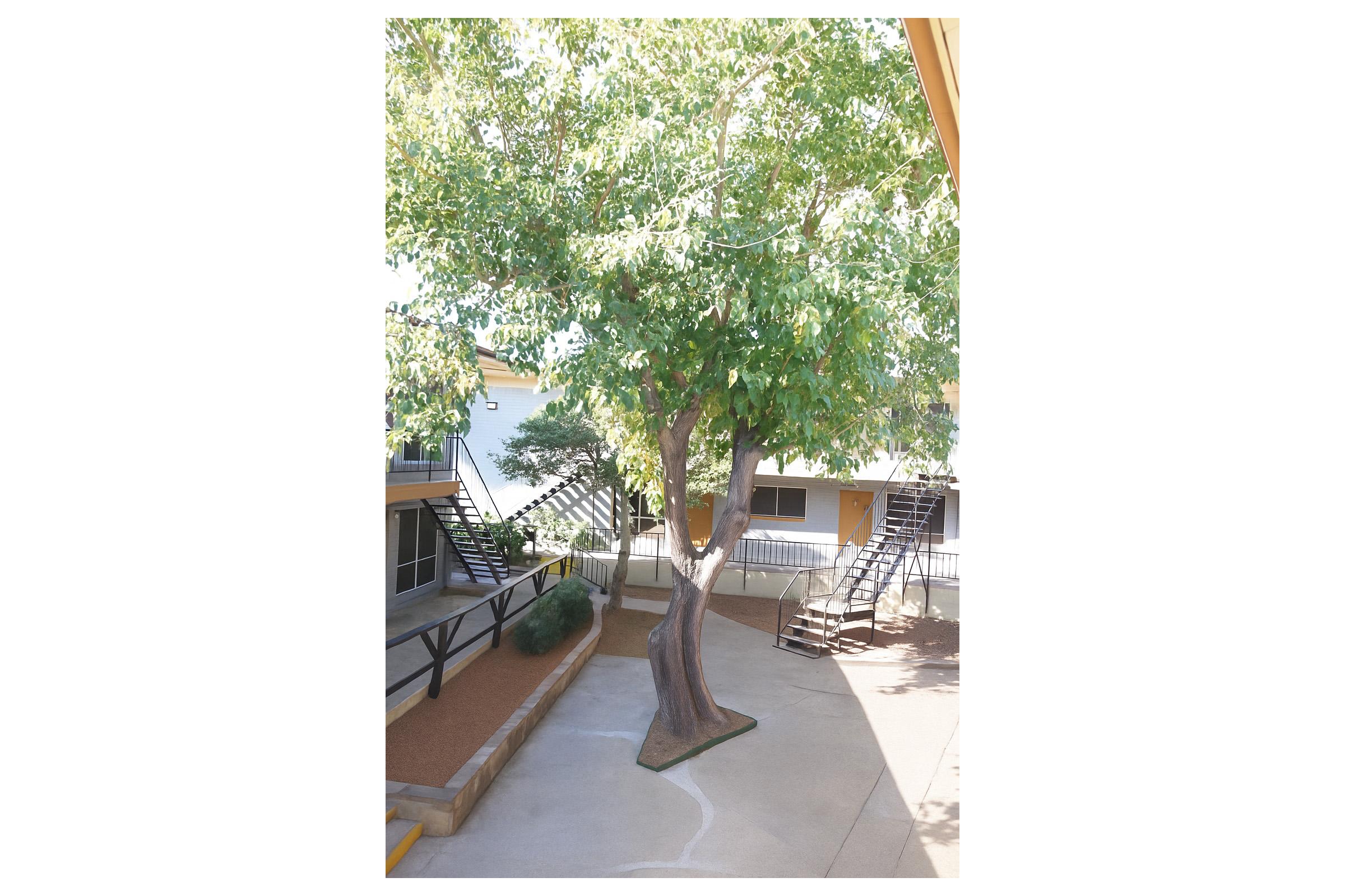A large, lush tree stands in a courtyard surrounded by yellow buildings. There are two sets of metal stairs leading up to balconies, and a gravel area with a picnic table nearby. The space is bright and open, with natural light illuminating the scene.