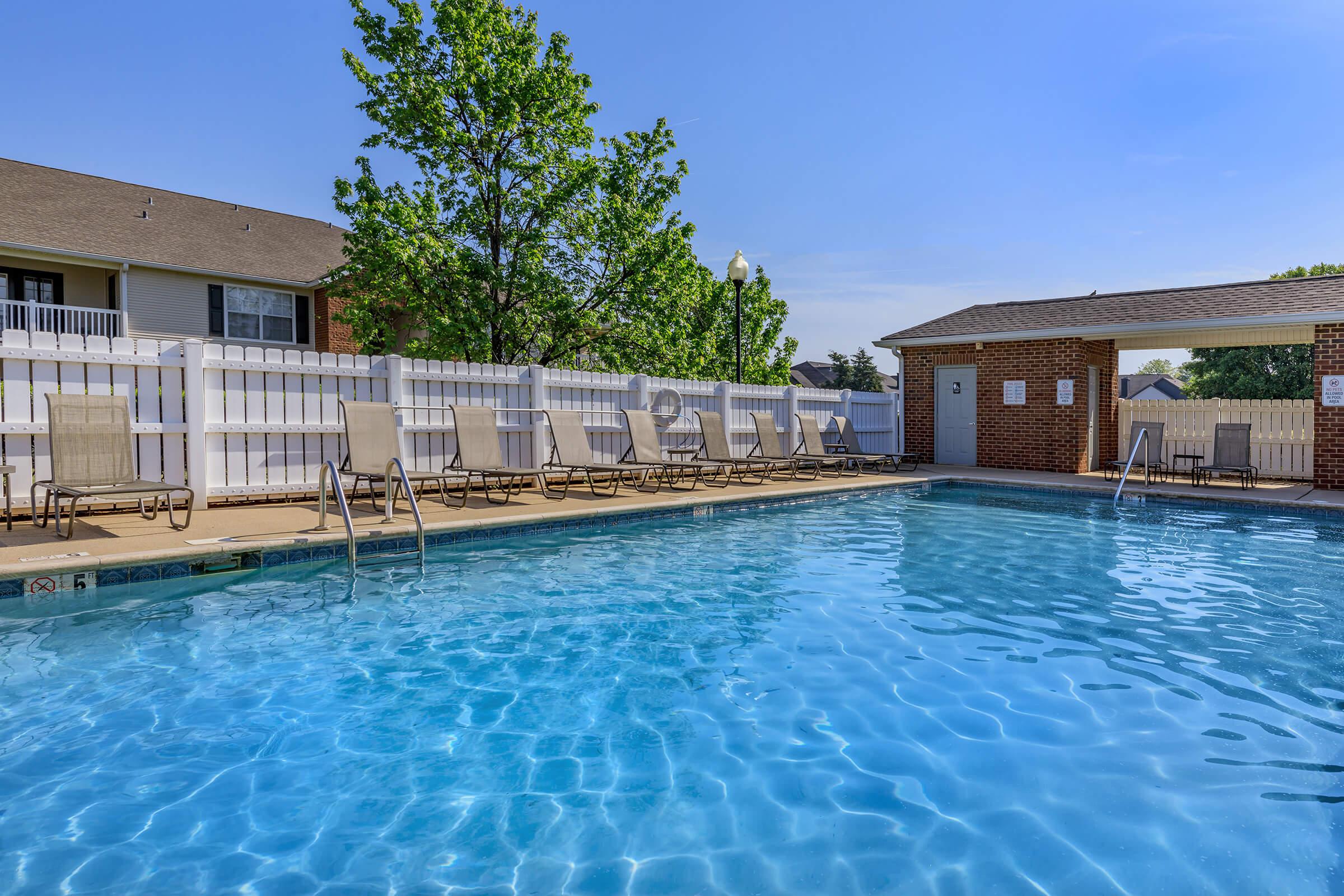 shimmering swimming pool