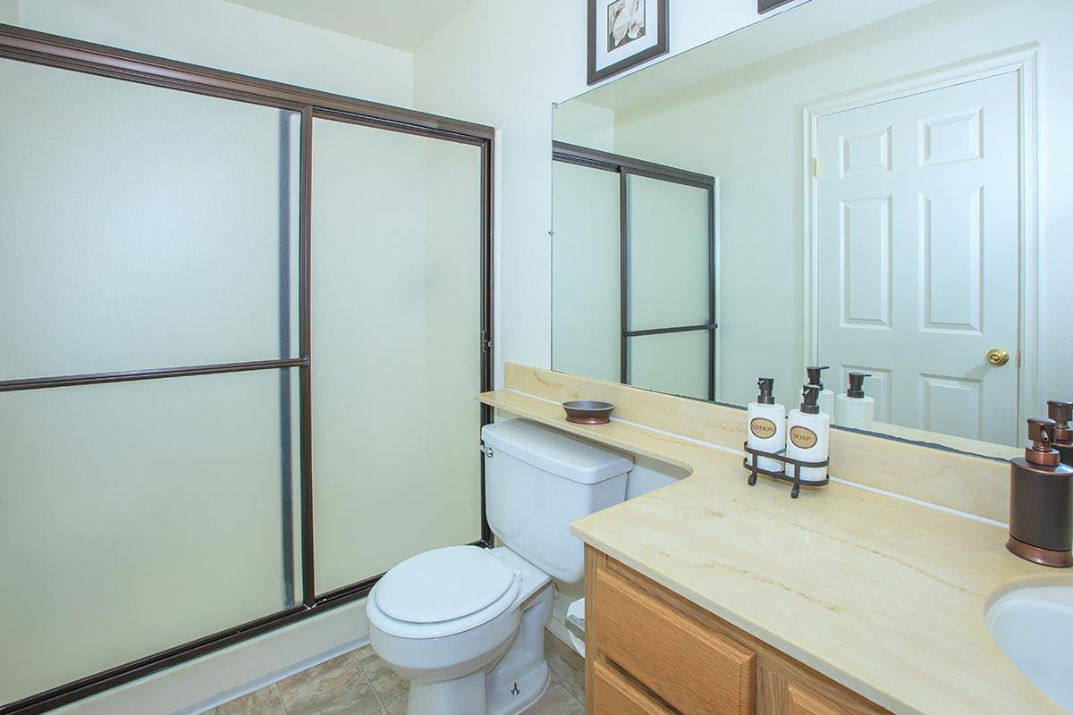 a shower that has a sink and a mirror