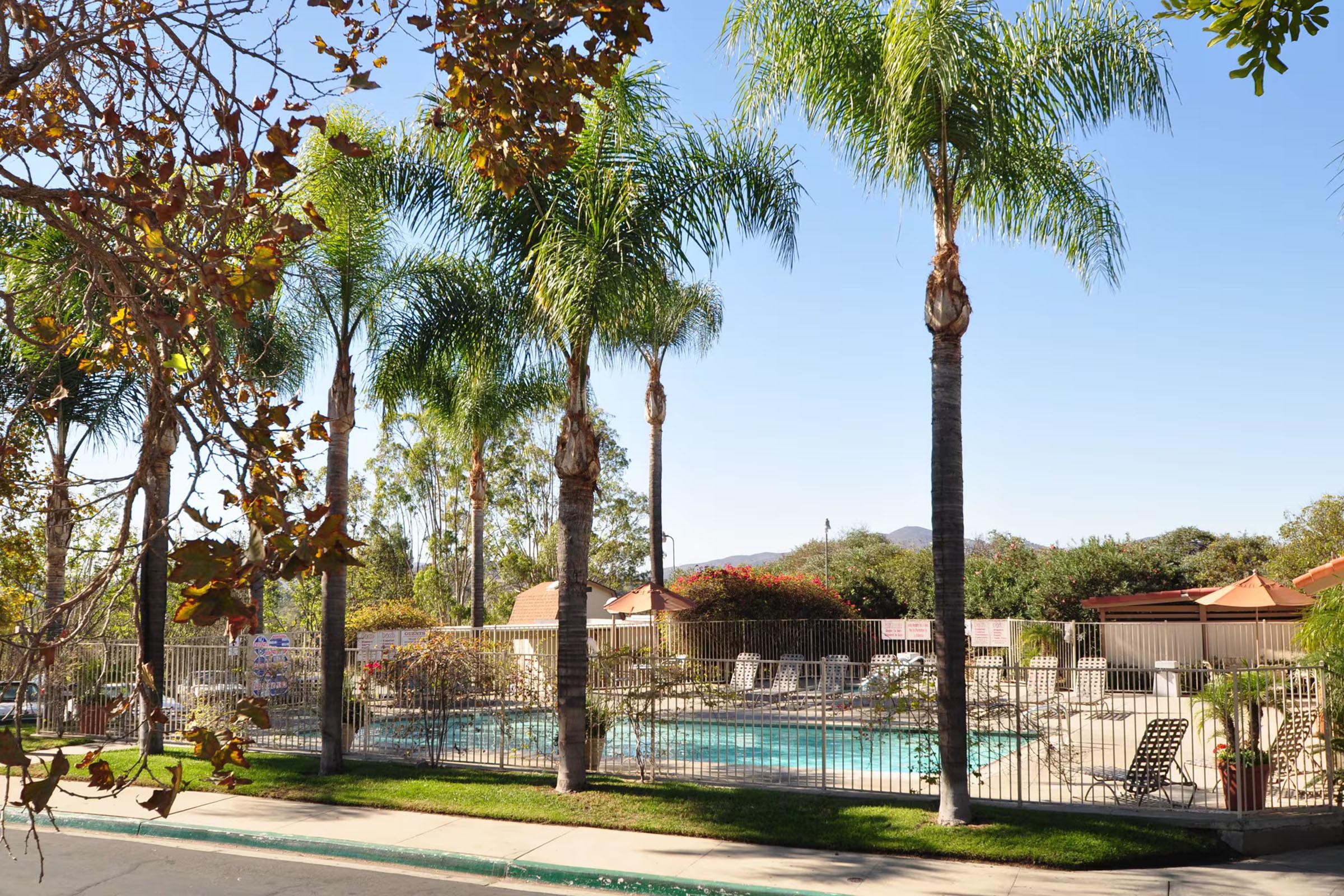 A sunny scene featuring a clear blue sky, palm trees, and a swimming pool surrounded by a gated area. The pool area includes lounge chairs and several trees with autumn-colored leaves. In the background, there are homes and hills visible, creating a relaxing atmosphere.