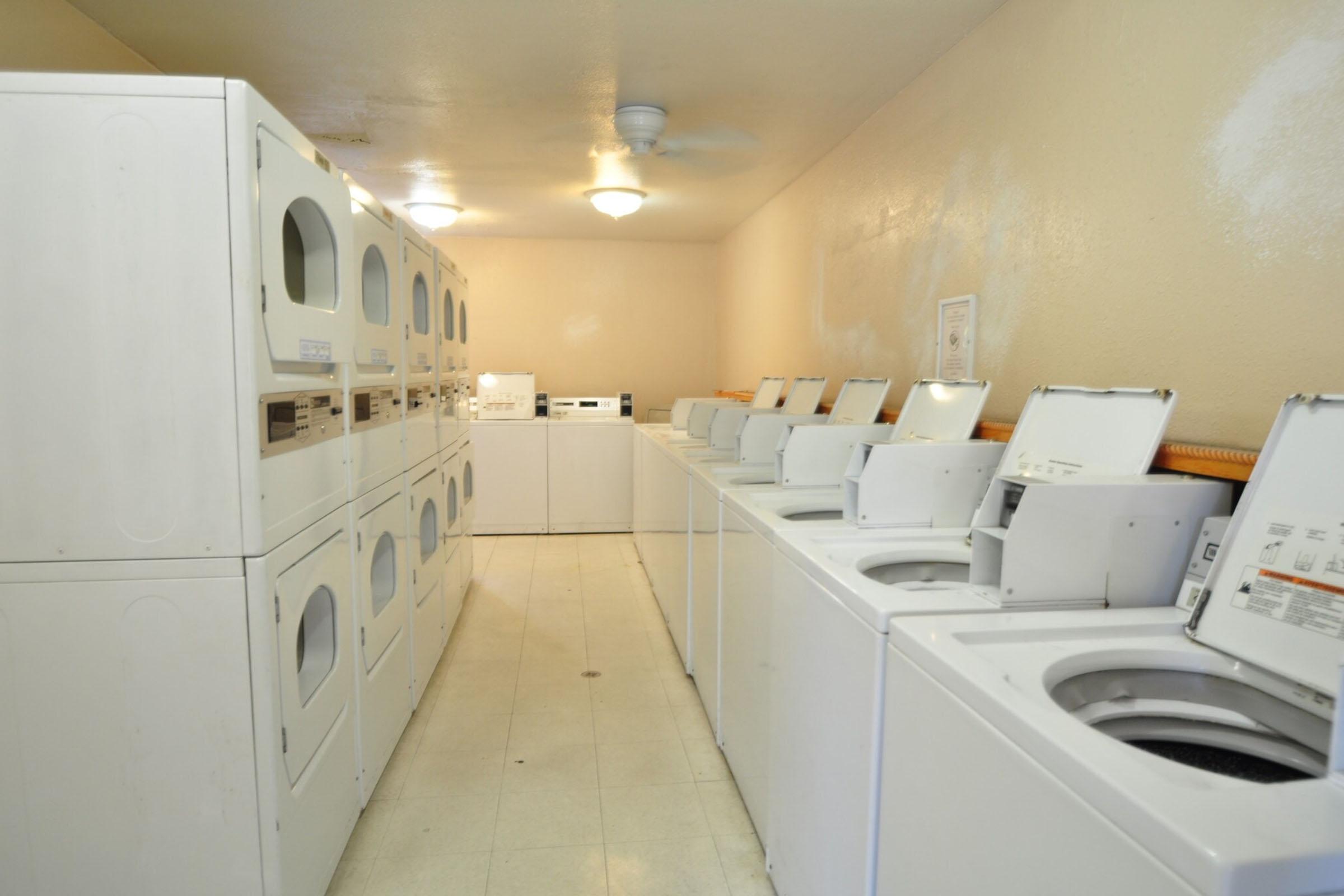 A clean and well-lit laundry room featuring multiple rows of white washing machines and dryers. There are ceiling lights and a fan, with a neutral-colored wall. The space appears organized and ready for use, emphasizing a functional environment for laundry tasks.