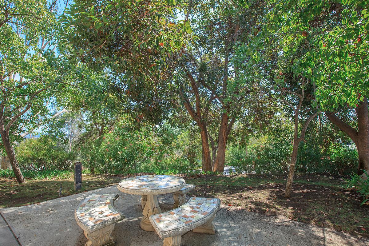 a bench next to a tree