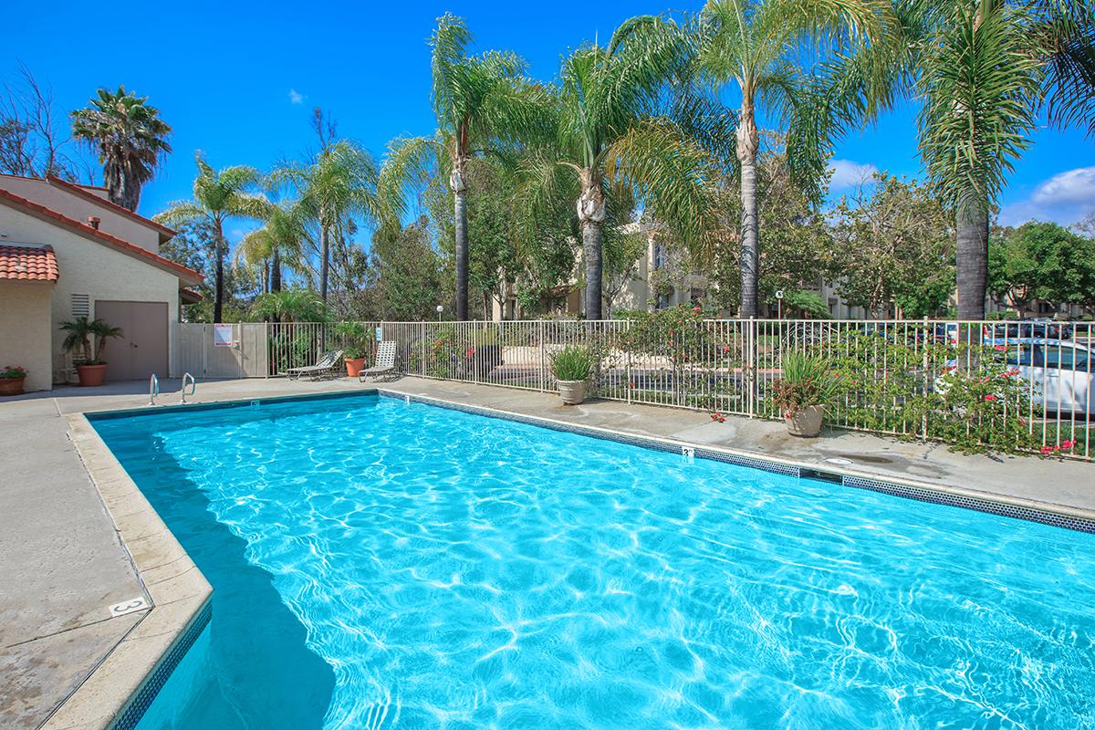 SPARKLING SWIMMING POOL