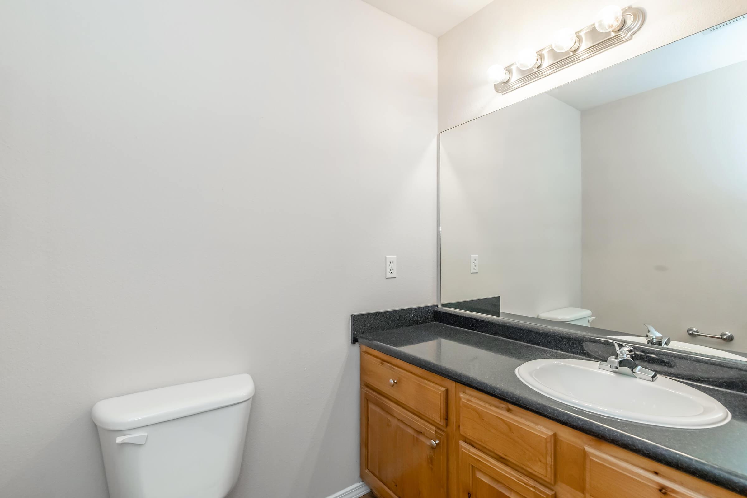 A clean and modern bathroom with a light-colored wall, a black countertop with a white sink, a wooden cabinet below, a large mirror, and a single light fixture above. The toilet is located on the left side of the image. Overall, the space appears bright and uncluttered.