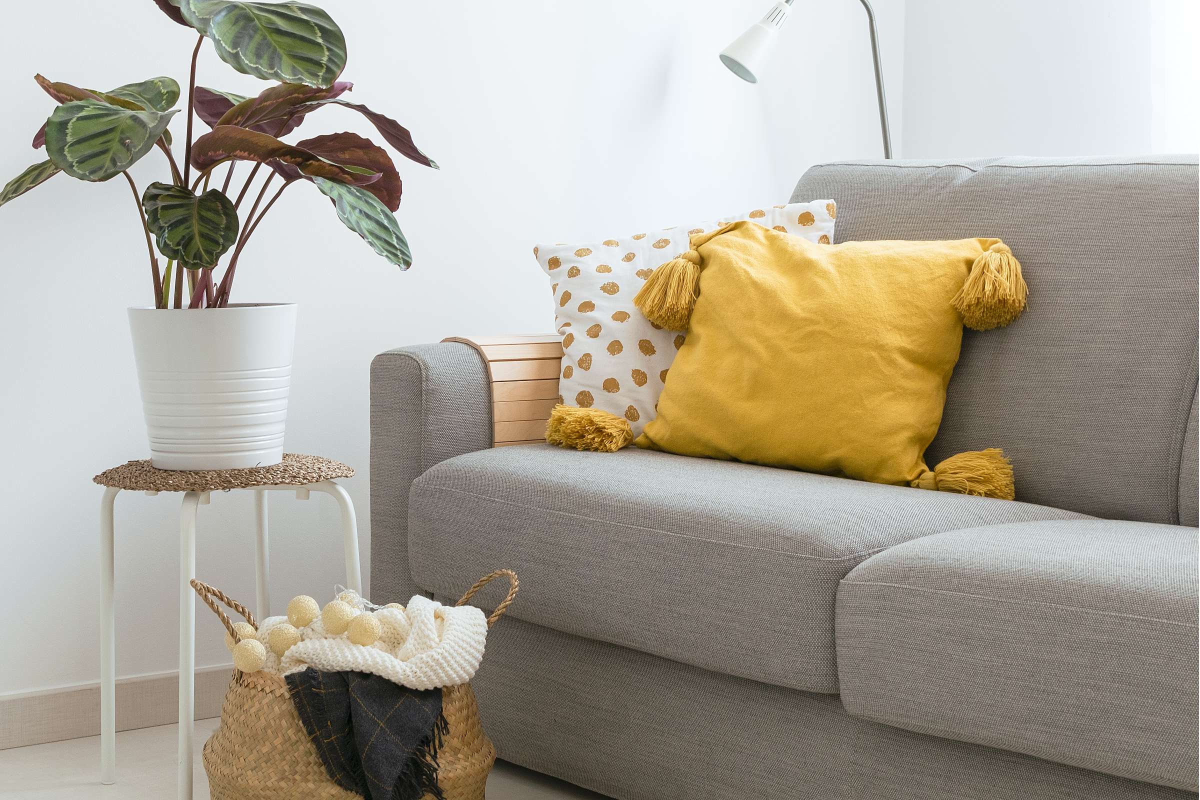 Apartment Features