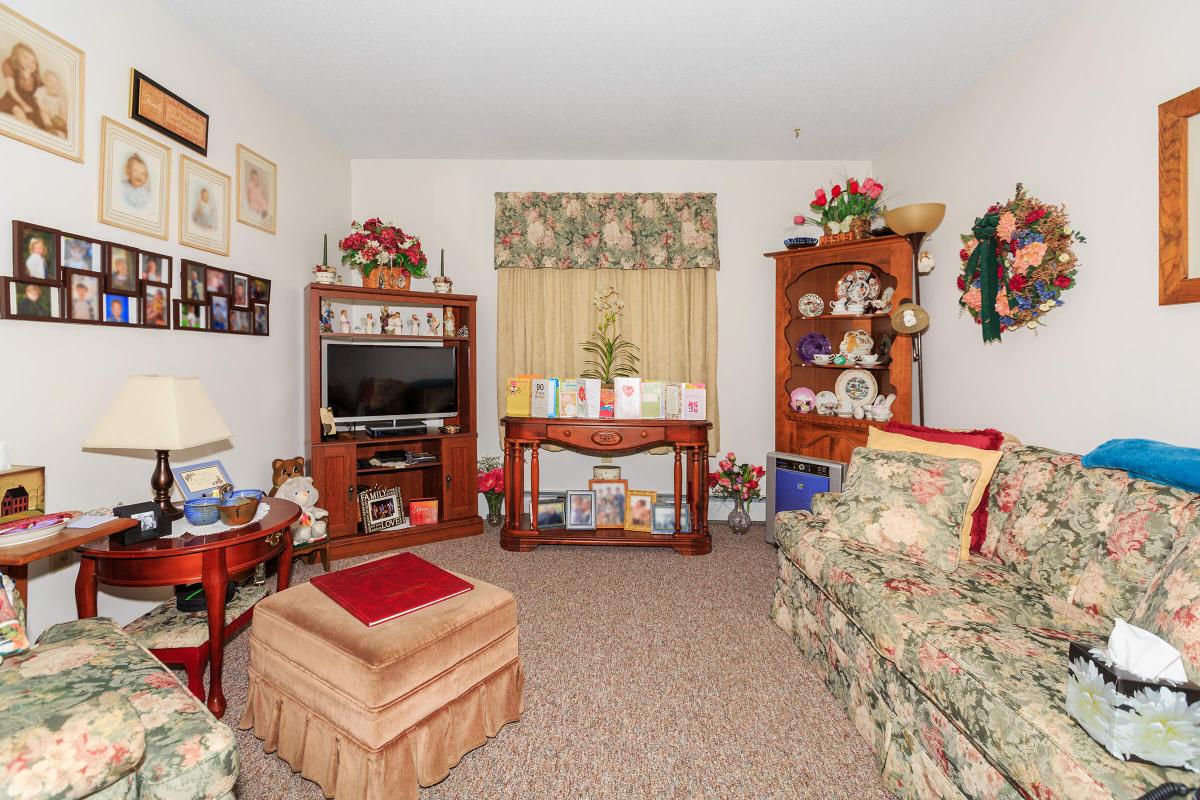 a living room with a bed and a fireplace